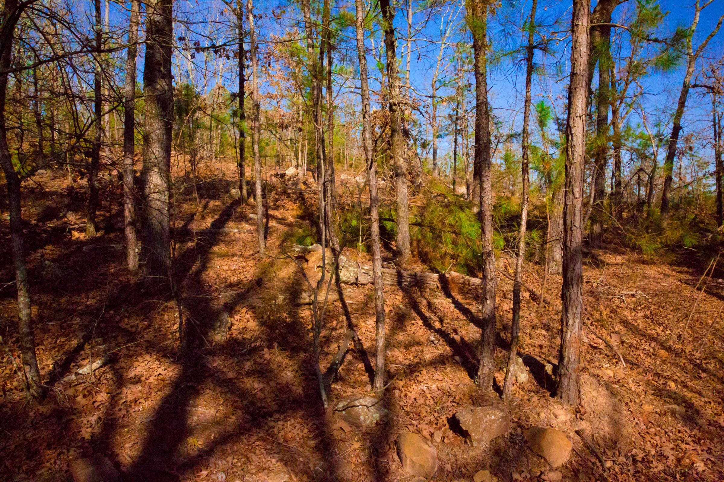 Stone Creek Phase II Tract 138 photo 4
