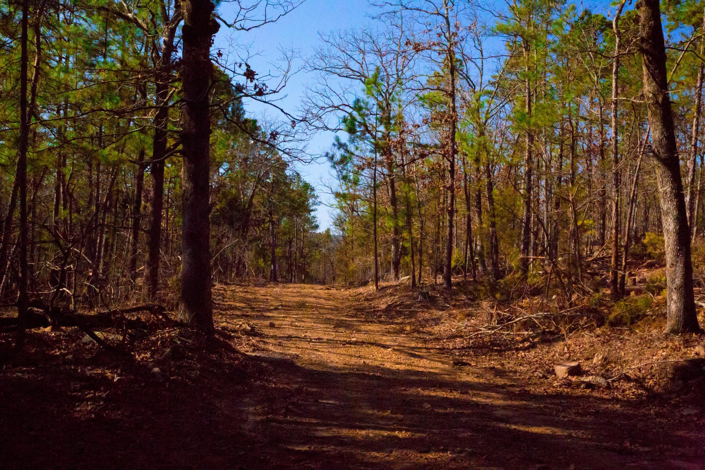 Stone Creek Phase II Tract 138 photo 5