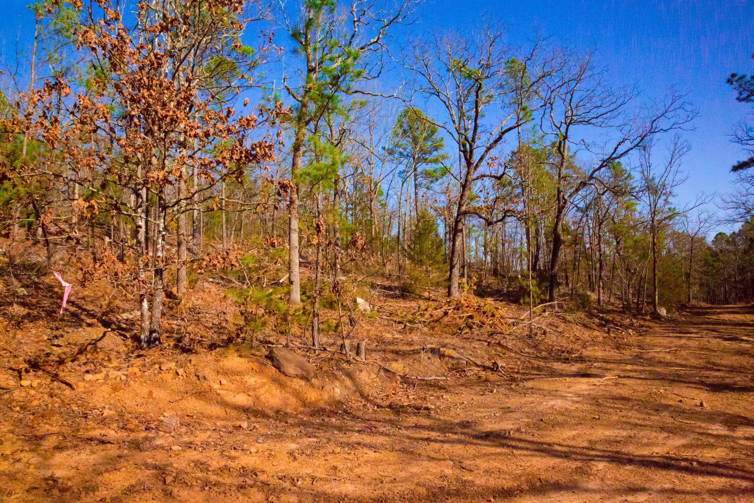 Stone Creek Phase II Tract 138 photo 6