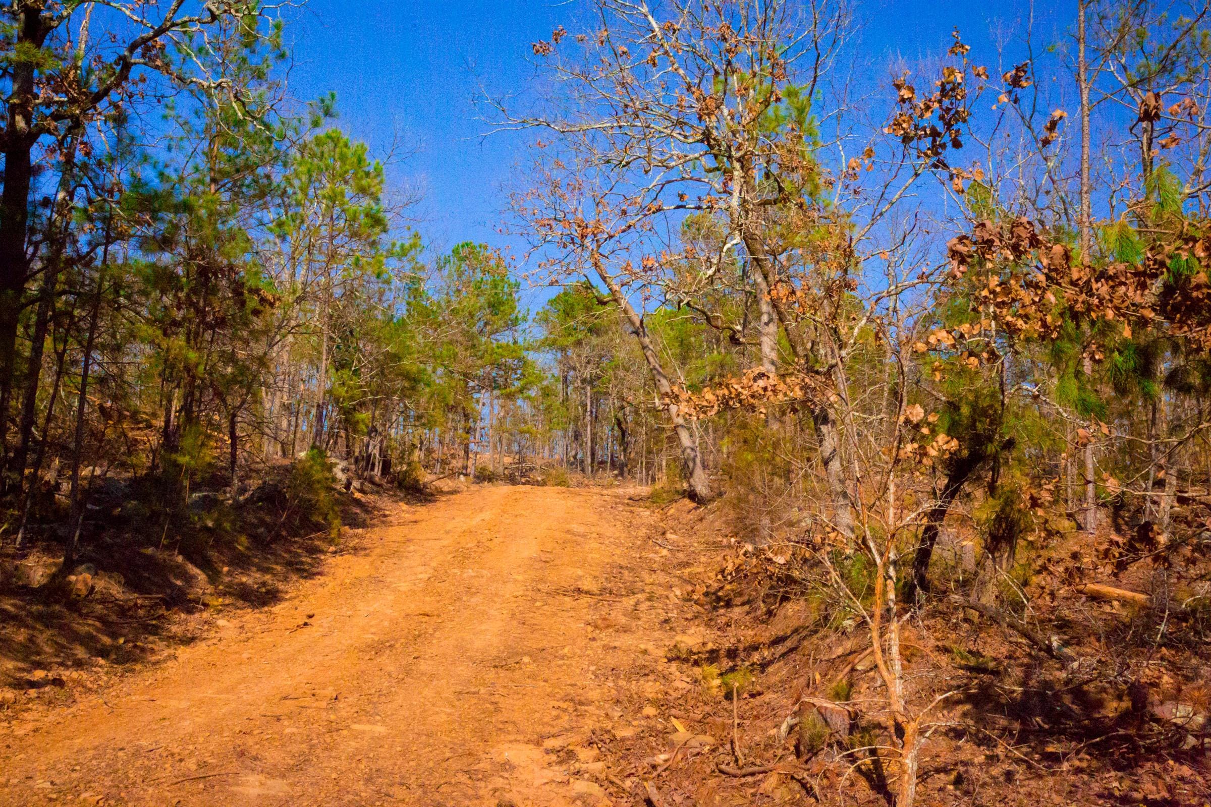 Stone Creek Phase II Tract 138 photo 2