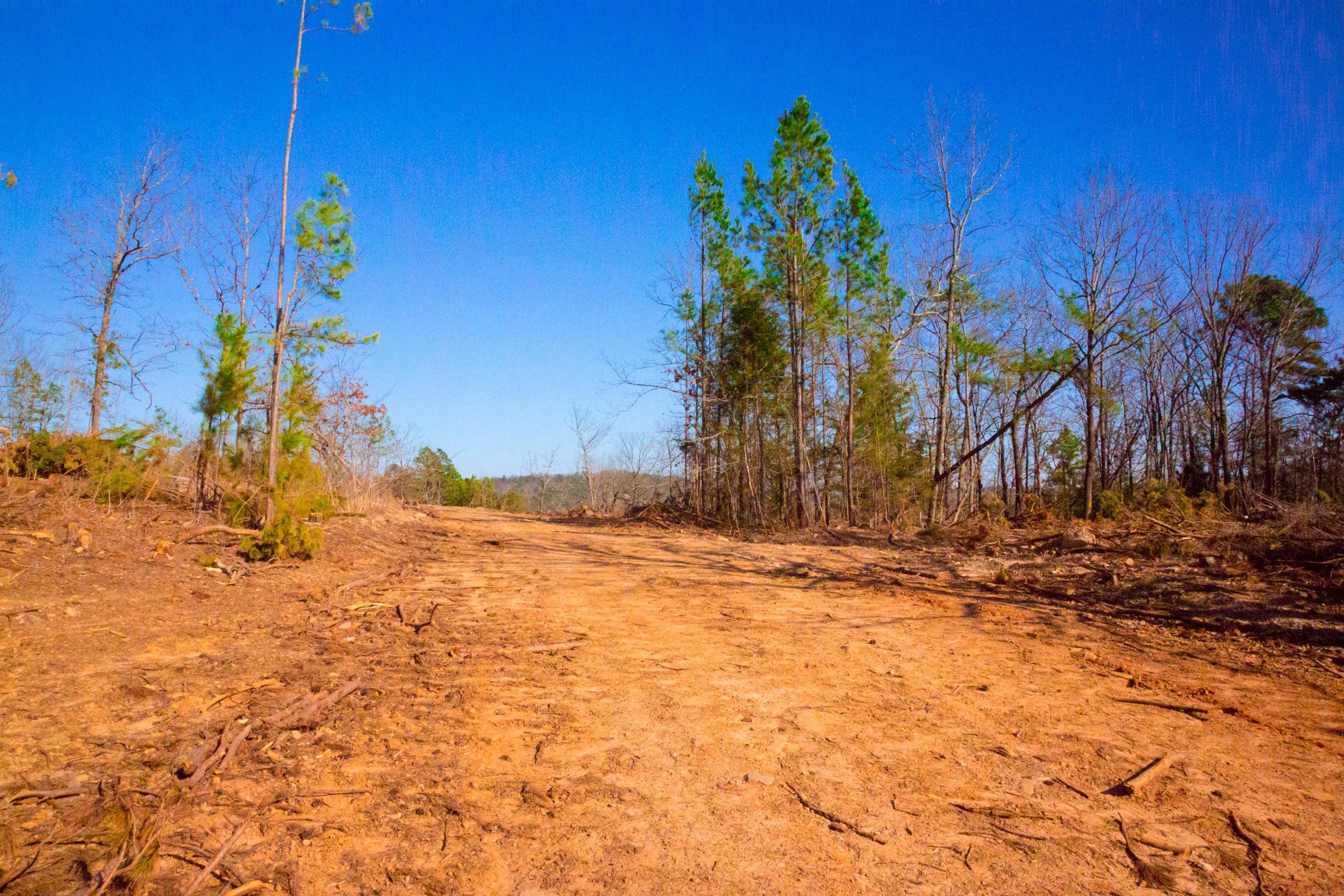 Stone Creek Phase II Tract 138 photo 8