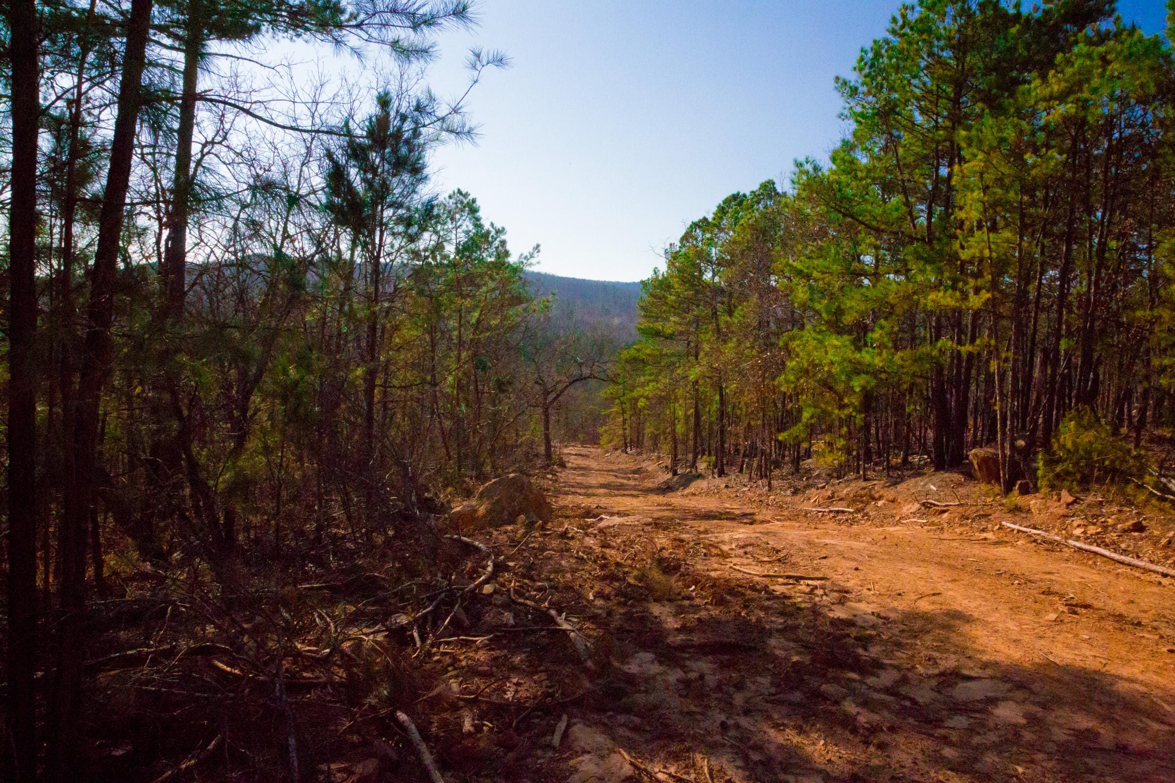 Stone Creek Phase II Tract 138 photo 9
