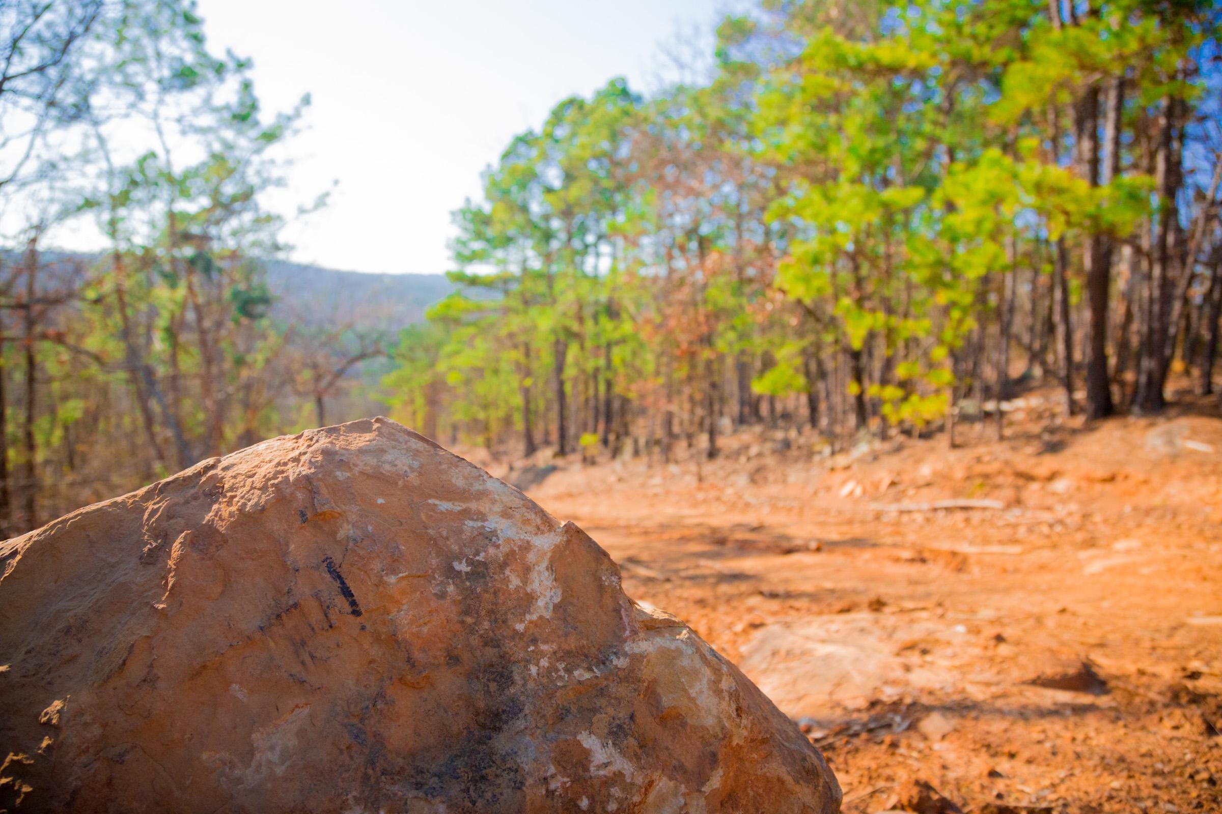 Stone Creek Phase II Tract 138 photo 10