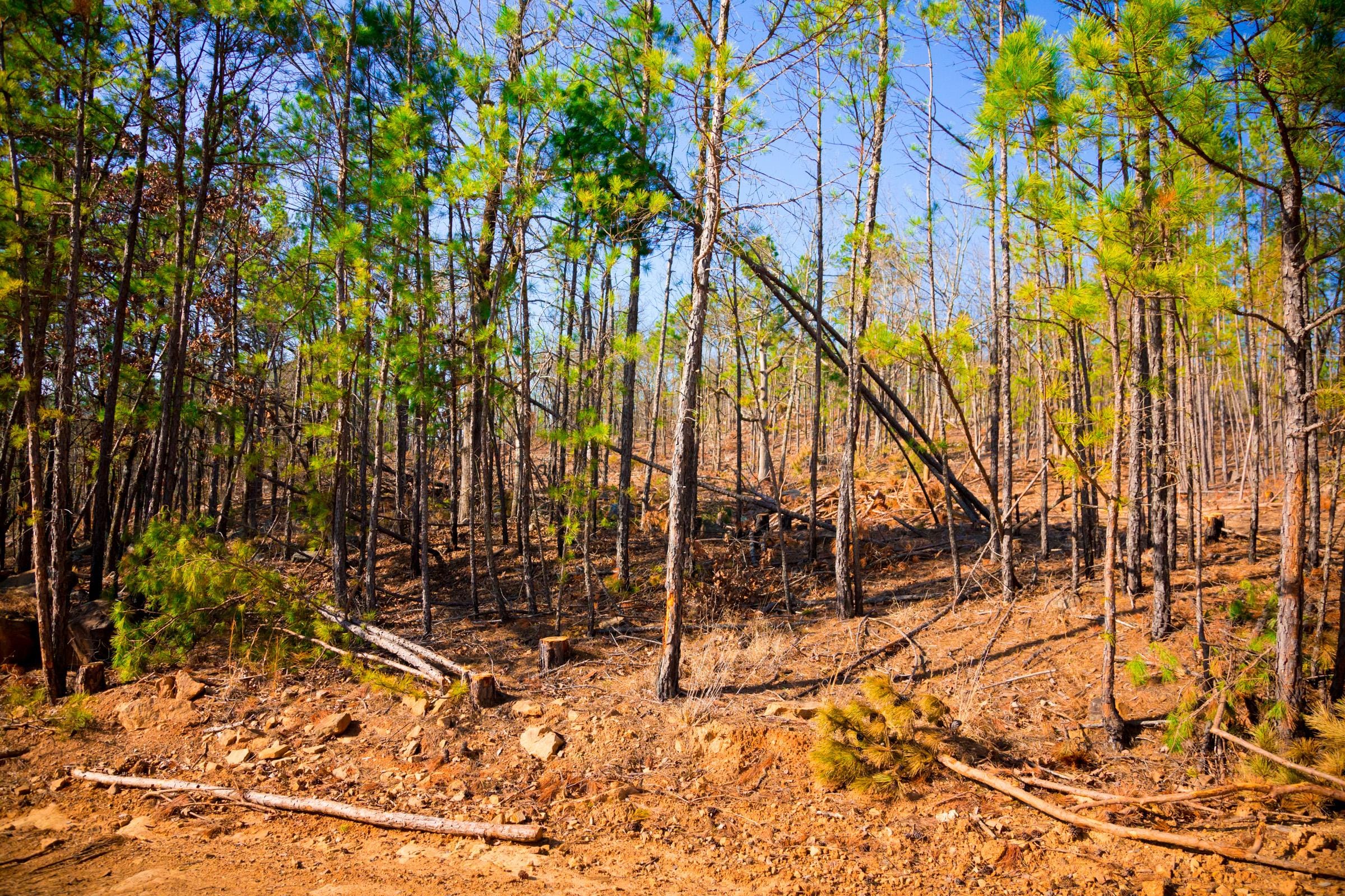 Stone Creek Phase II Tract 138 photo 11