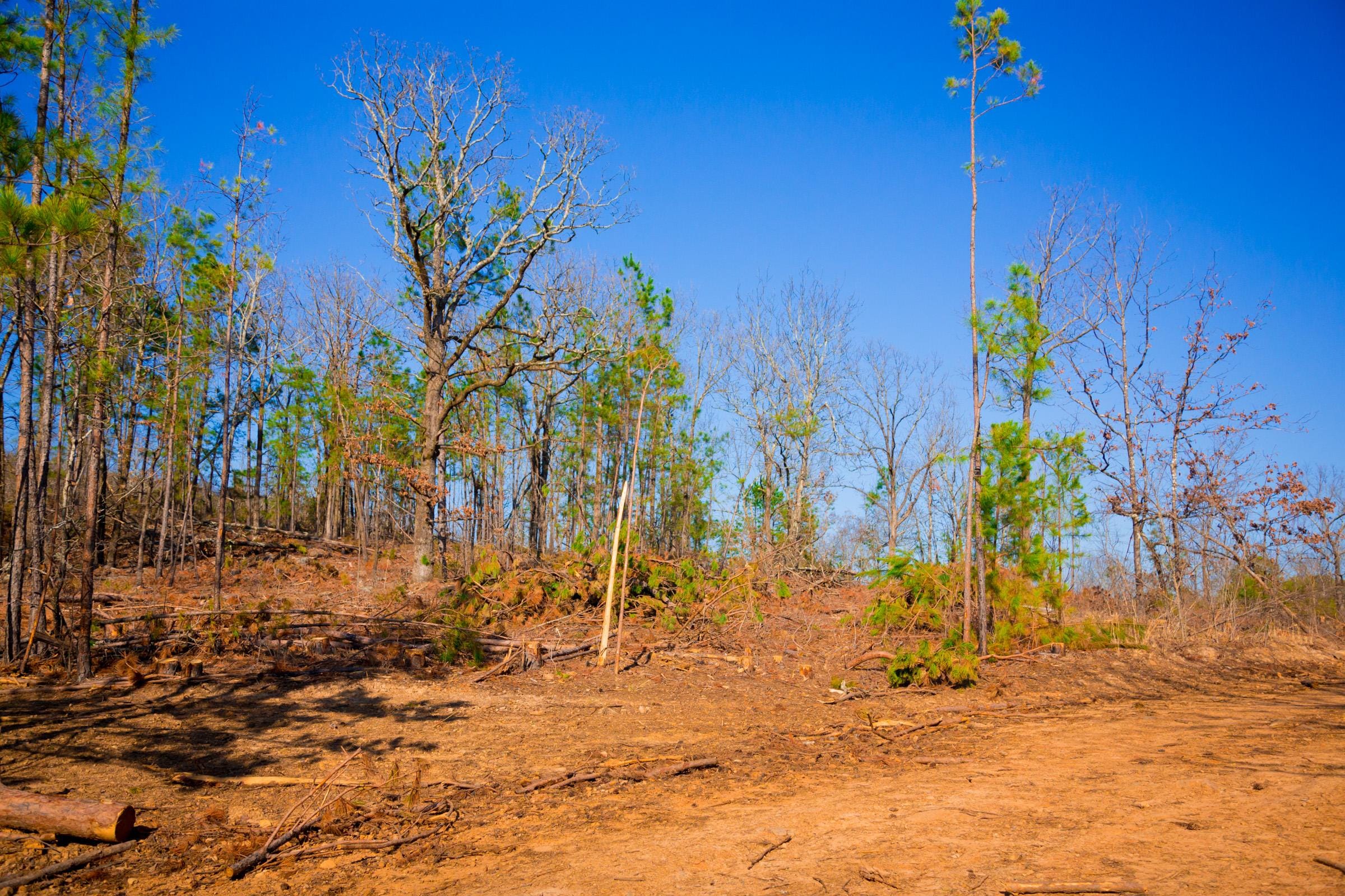 Stone Creek Phase II Tract 138 photo 12