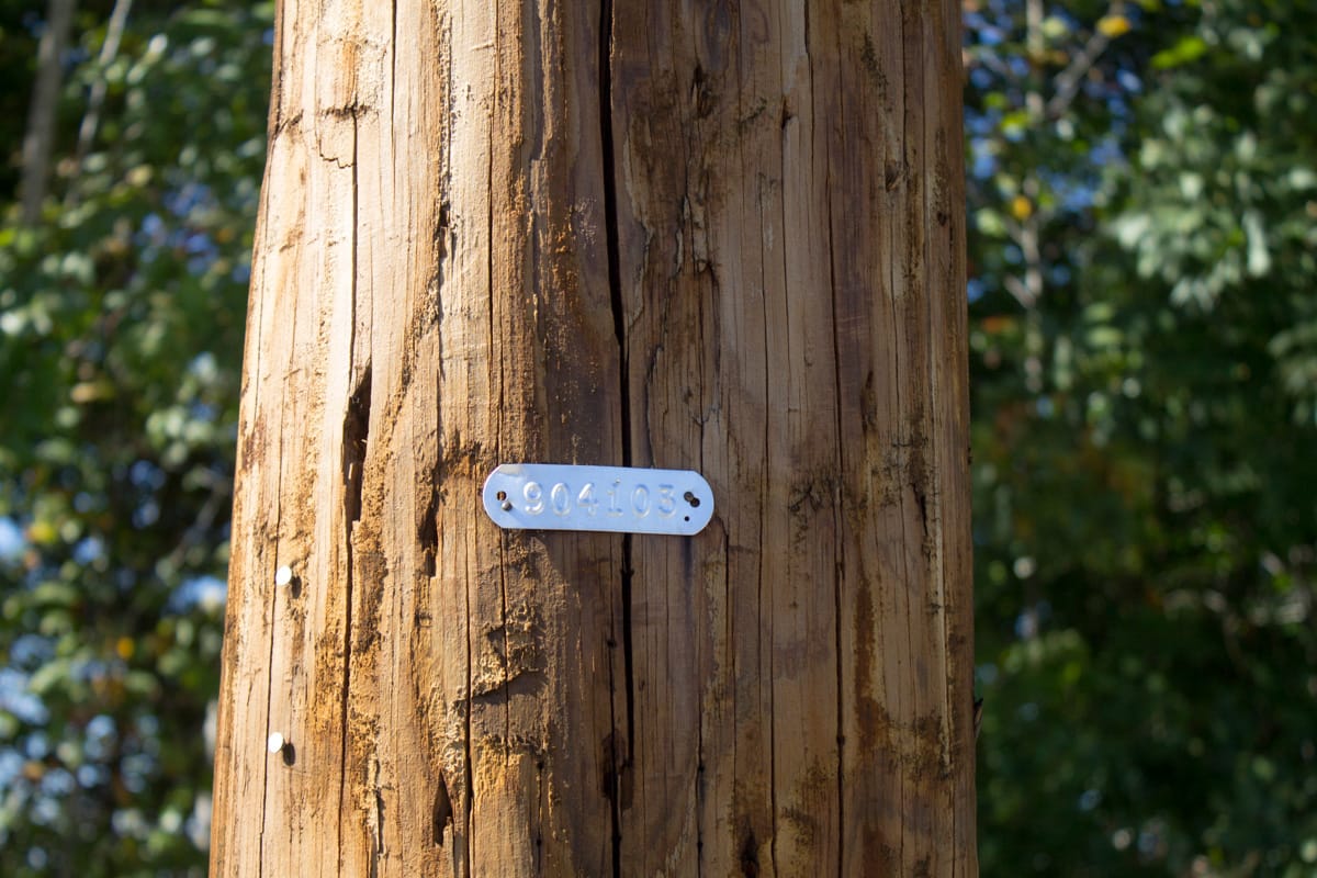 Black Oak Ranch Tract 8 photo 3