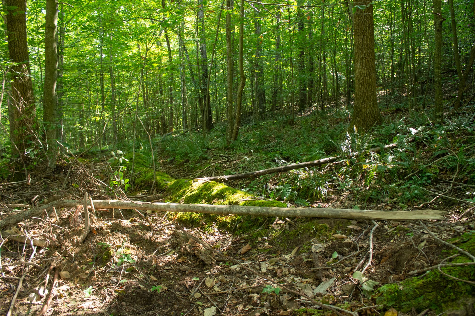 Bluegrass Ridge Tract 10 photo 7