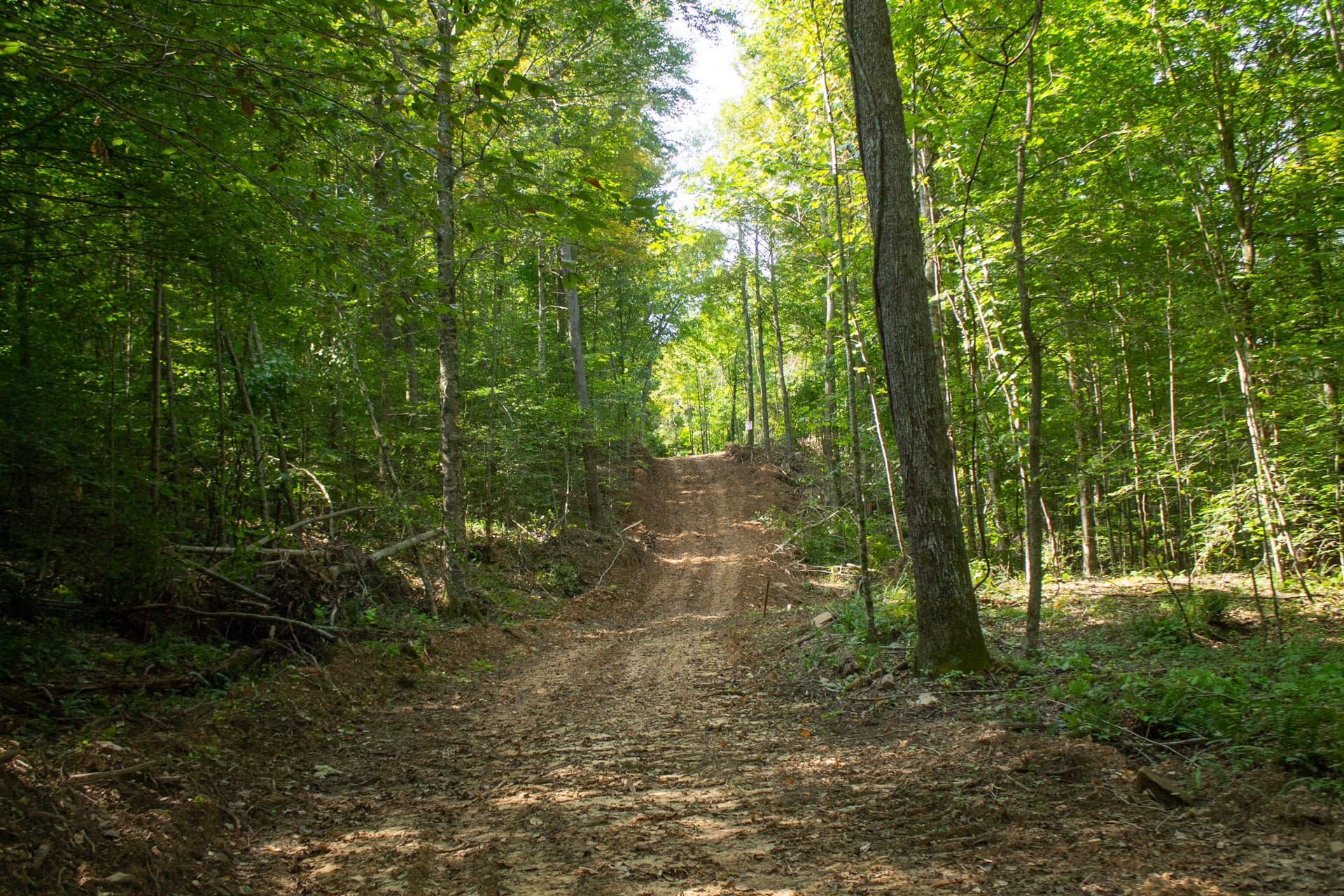 Bluegrass Ridge Tract 10 photo 8