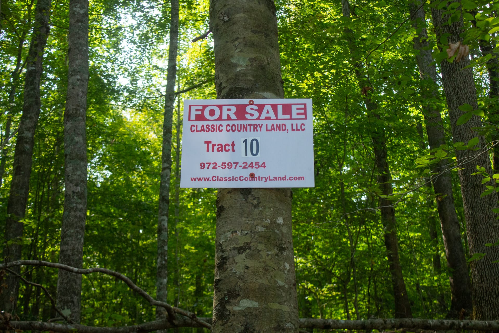Bluegrass Ridge Tract 10 photo 1
