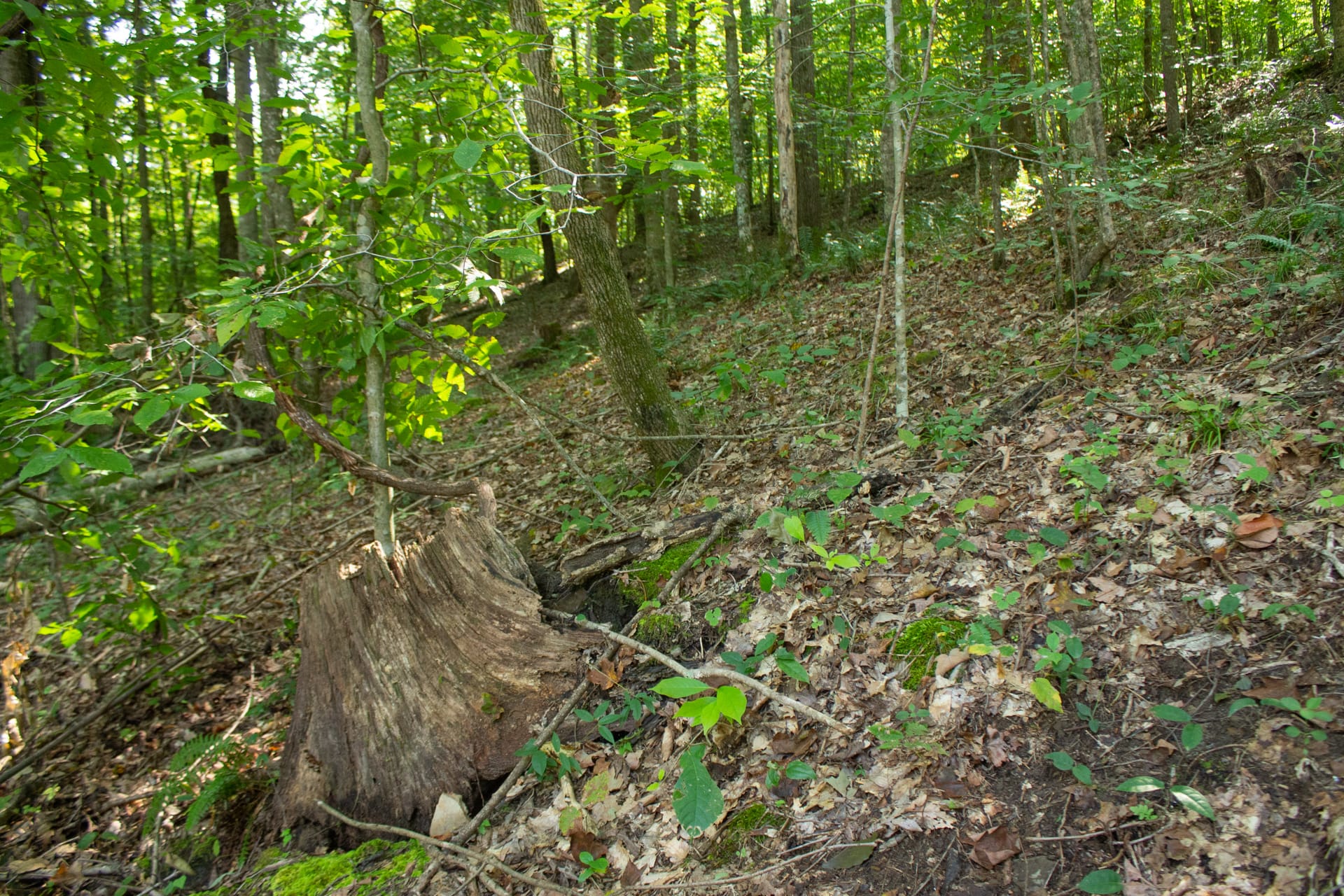 Bluegrass Ridge Tract 10 photo 13