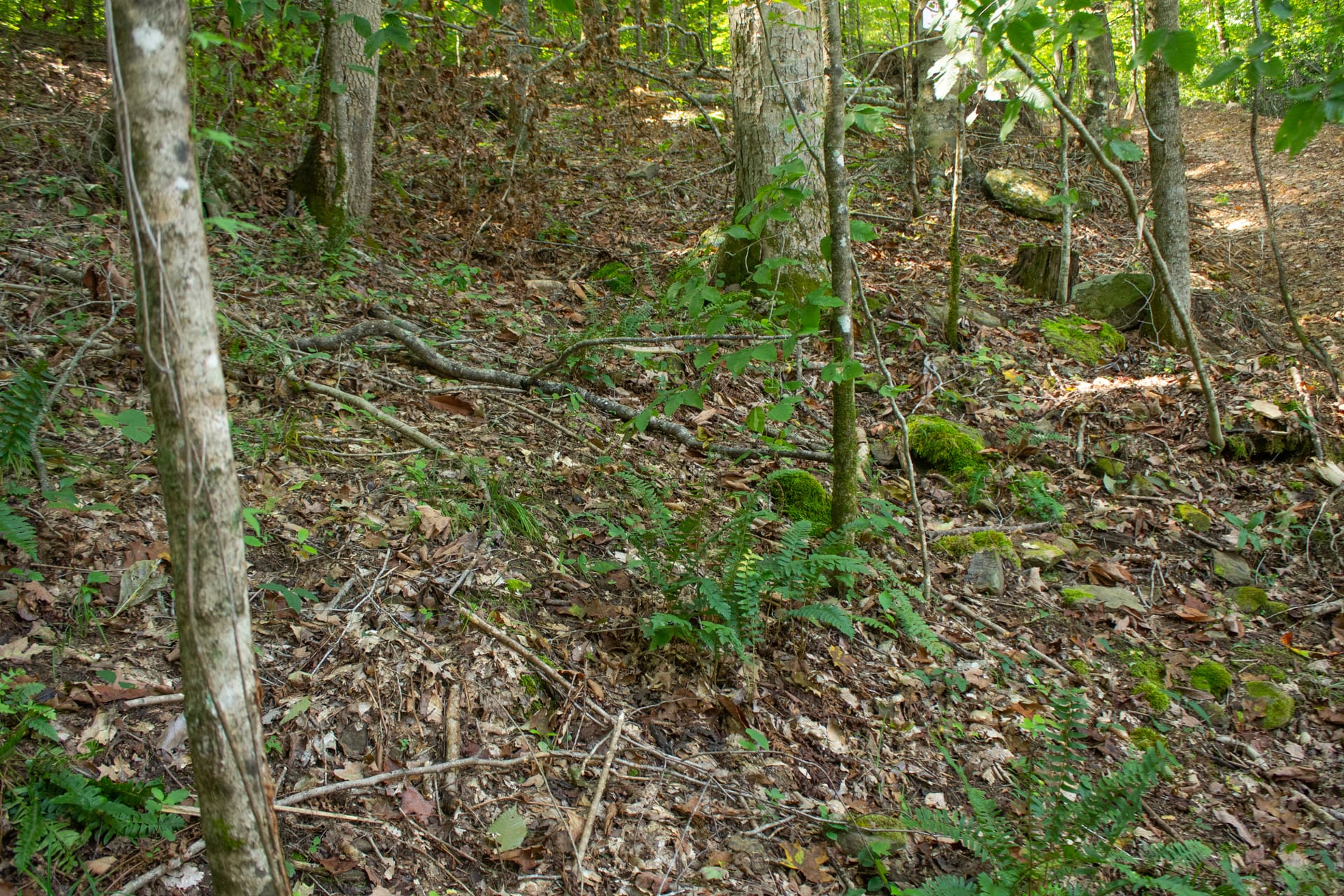 Bluegrass Ridge Tract 10 photo 14