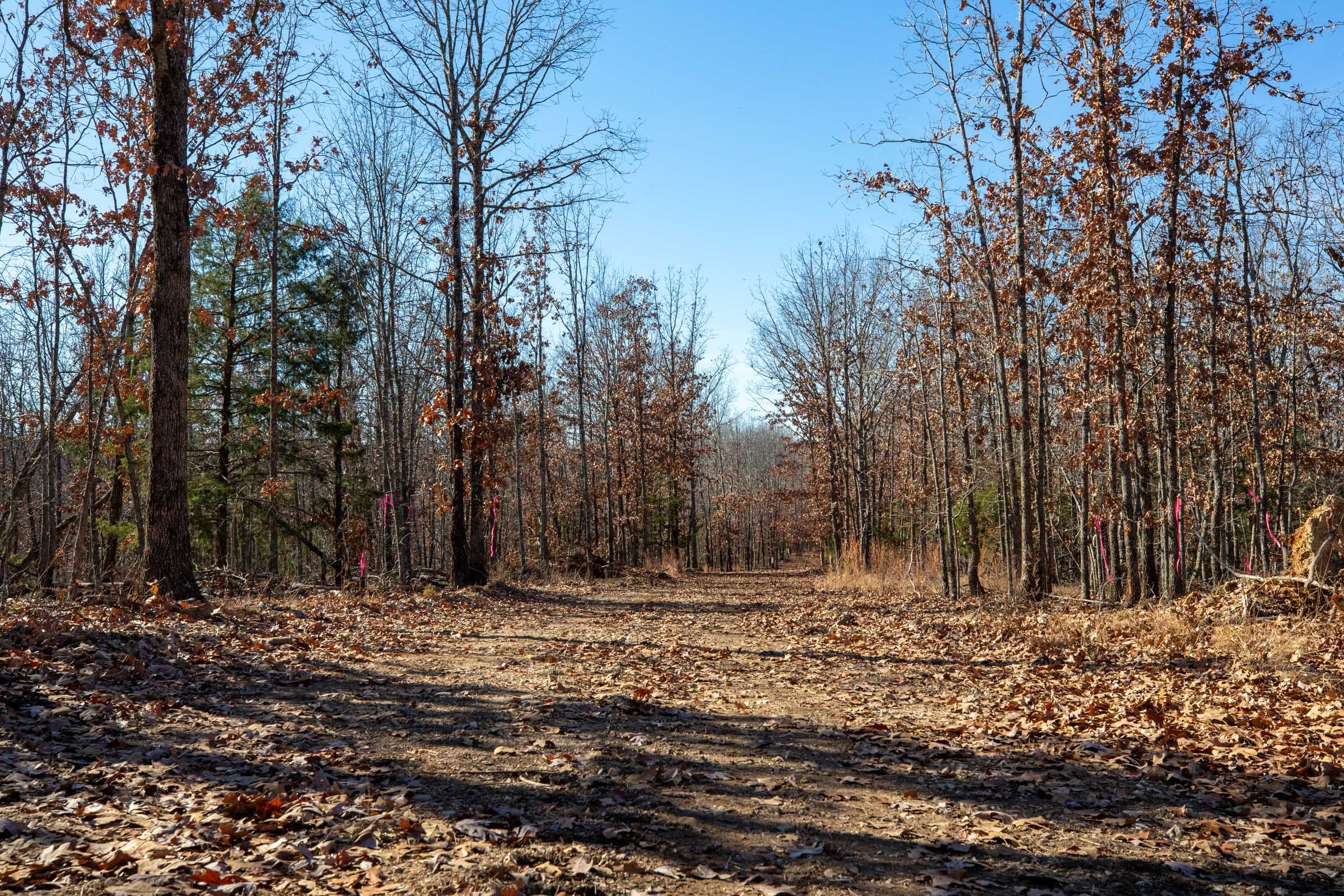 Dutchman Hollow Tract 7 photo 8