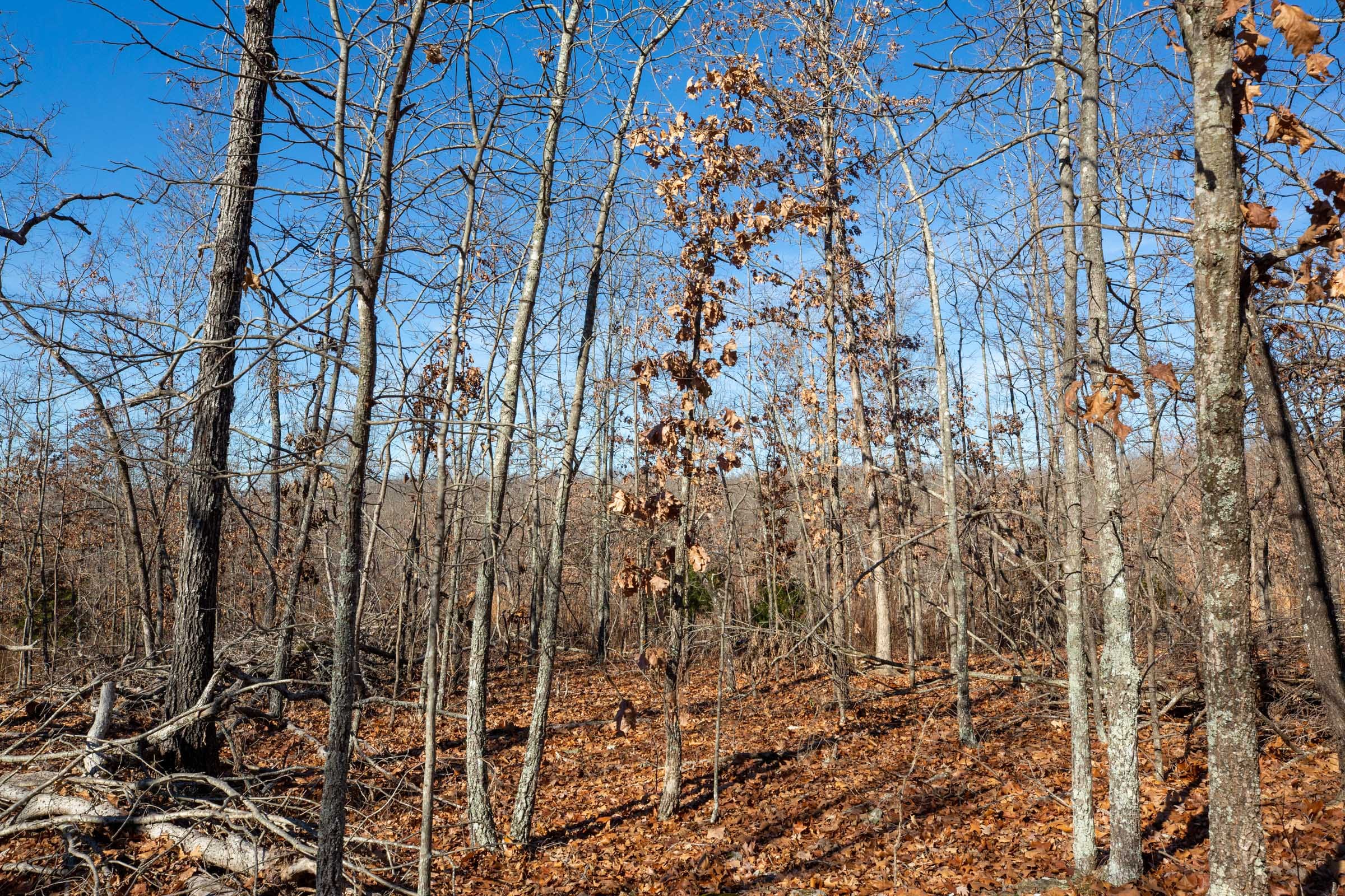 Dutchman Hollow Tract 7 photo 4