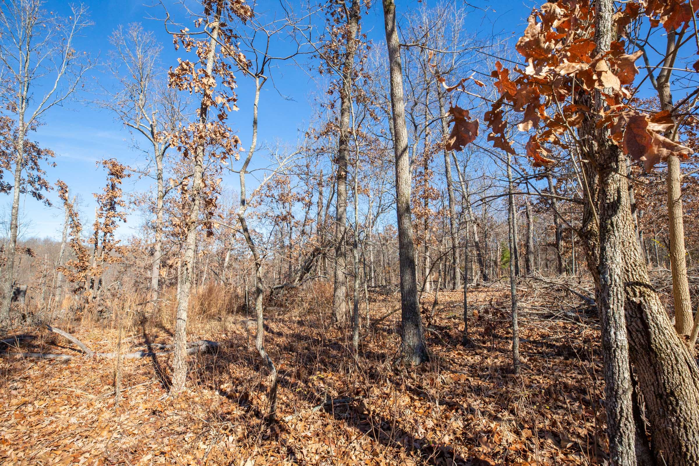 Dutchman Hollow Tract 7 photo 3