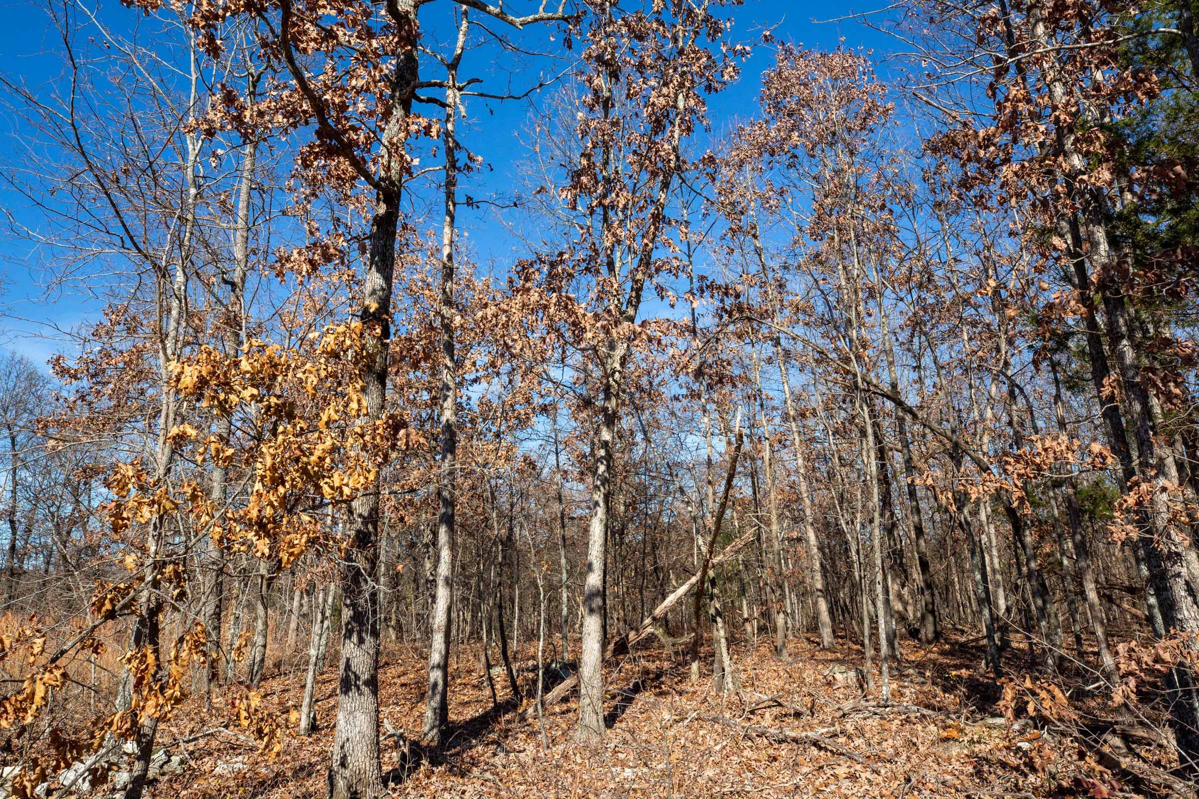 Dutchman Hollow Tract 7 photo 2