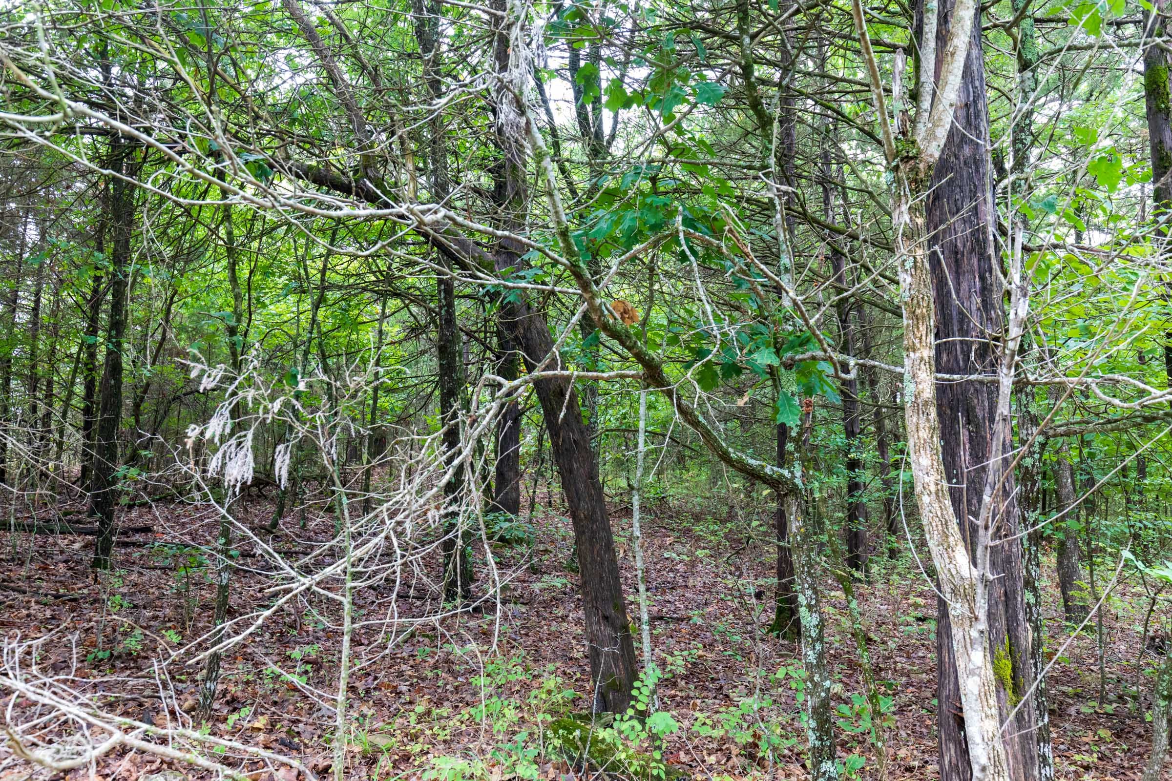 Heritage Bend Tract 8 photo 1