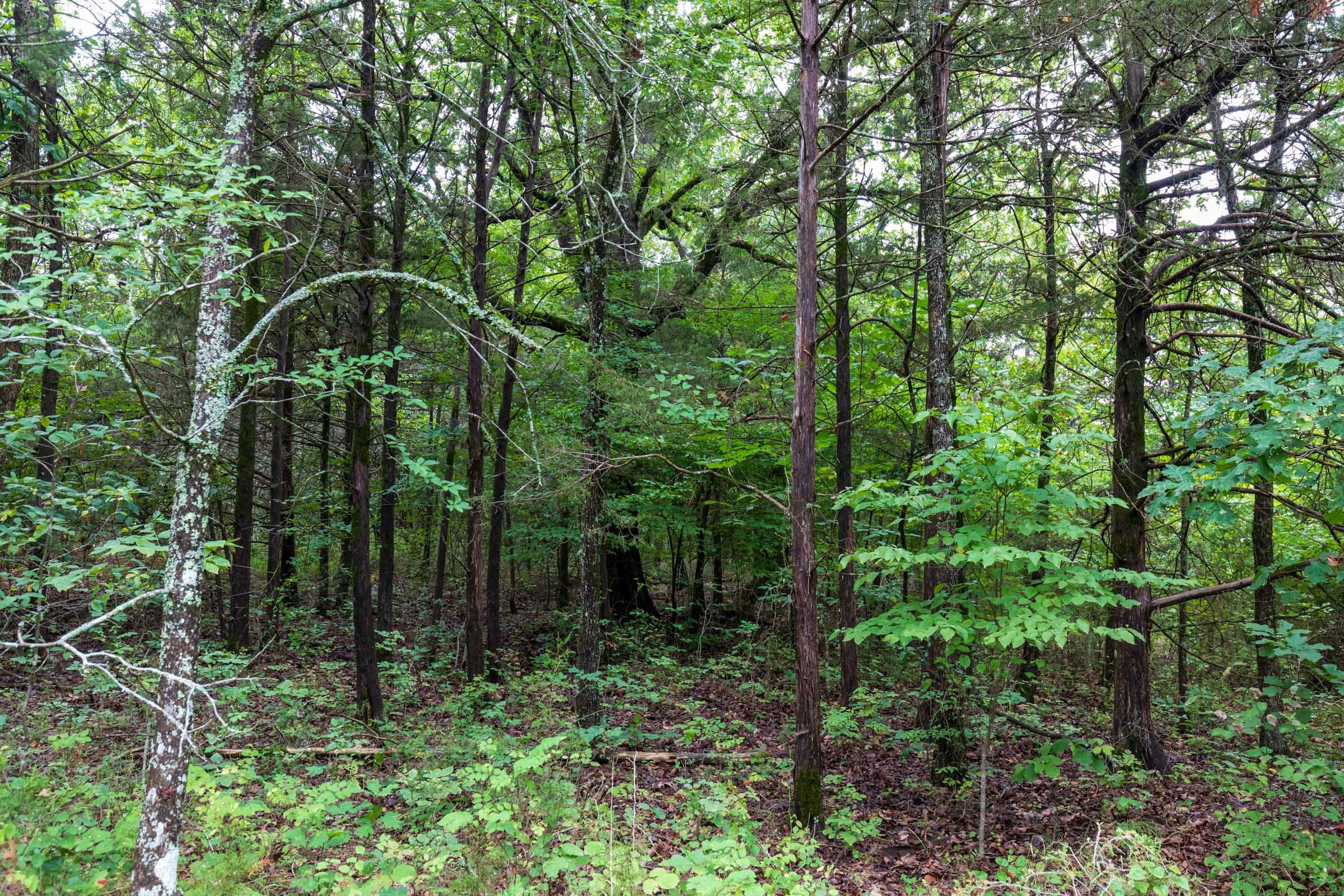 Heritage Bend Tract 8 photo 2