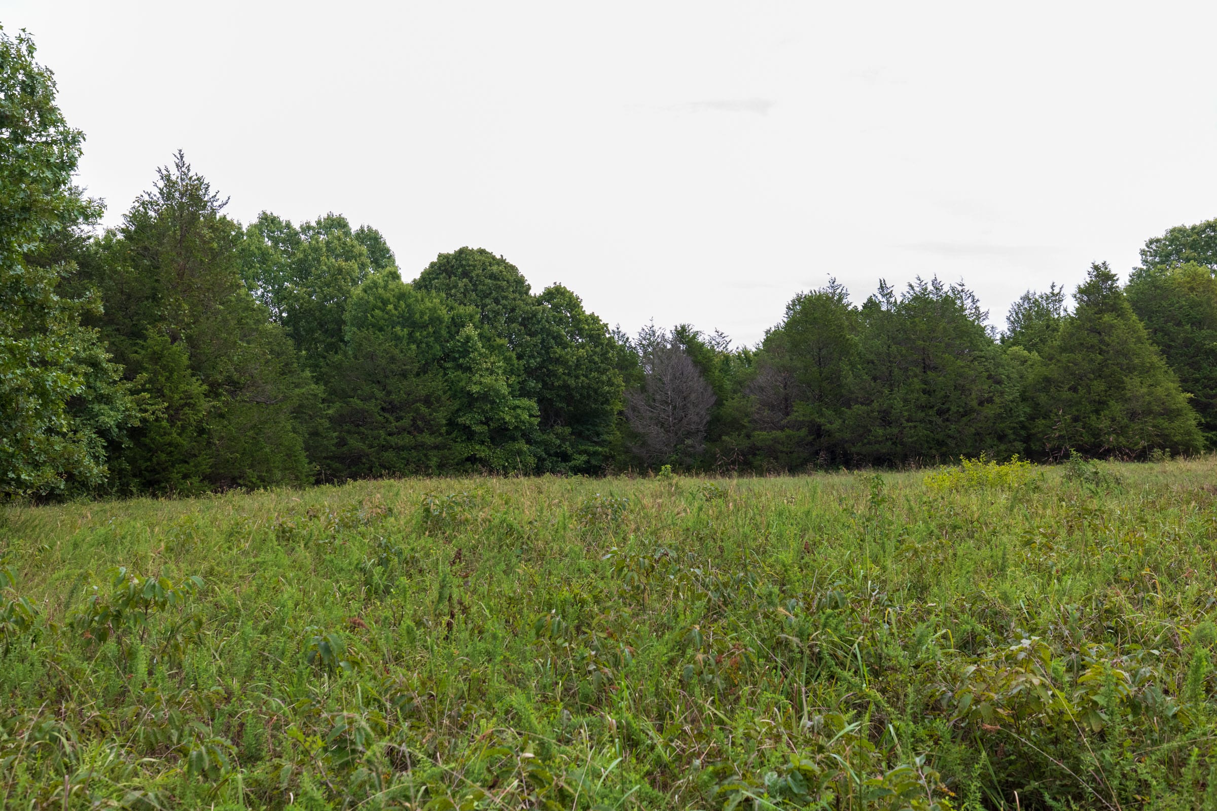 Heritage Bend Tract 8 photo 3