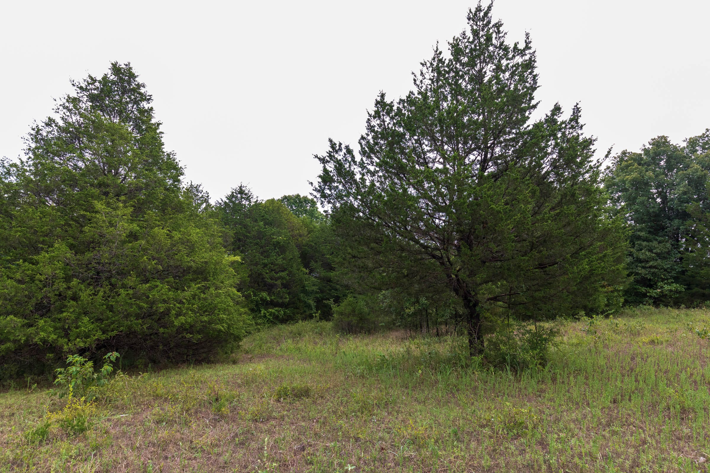 Heritage Bend Tract 8 photo 4