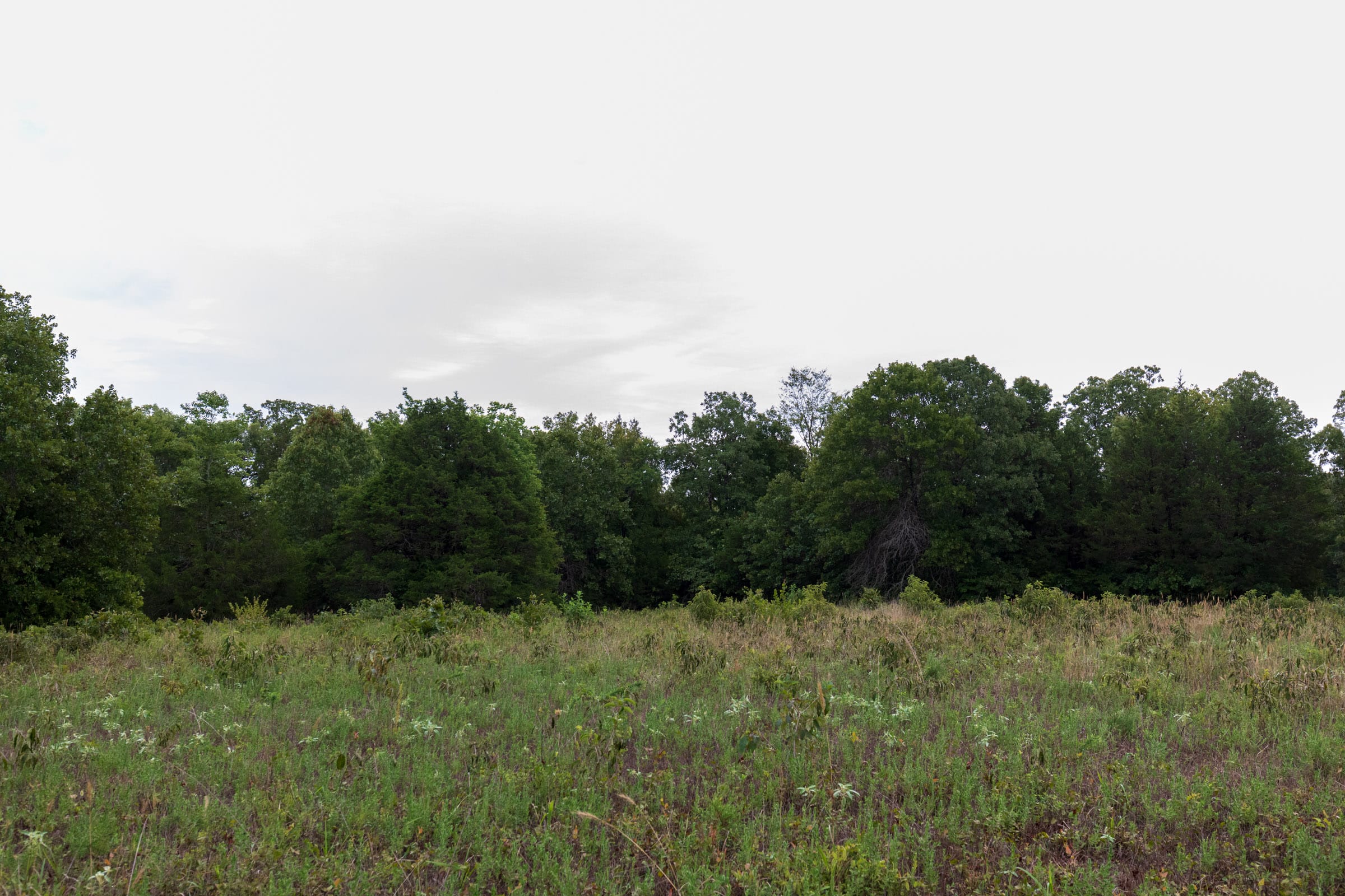 Heritage Bend Tract 8 photo 5