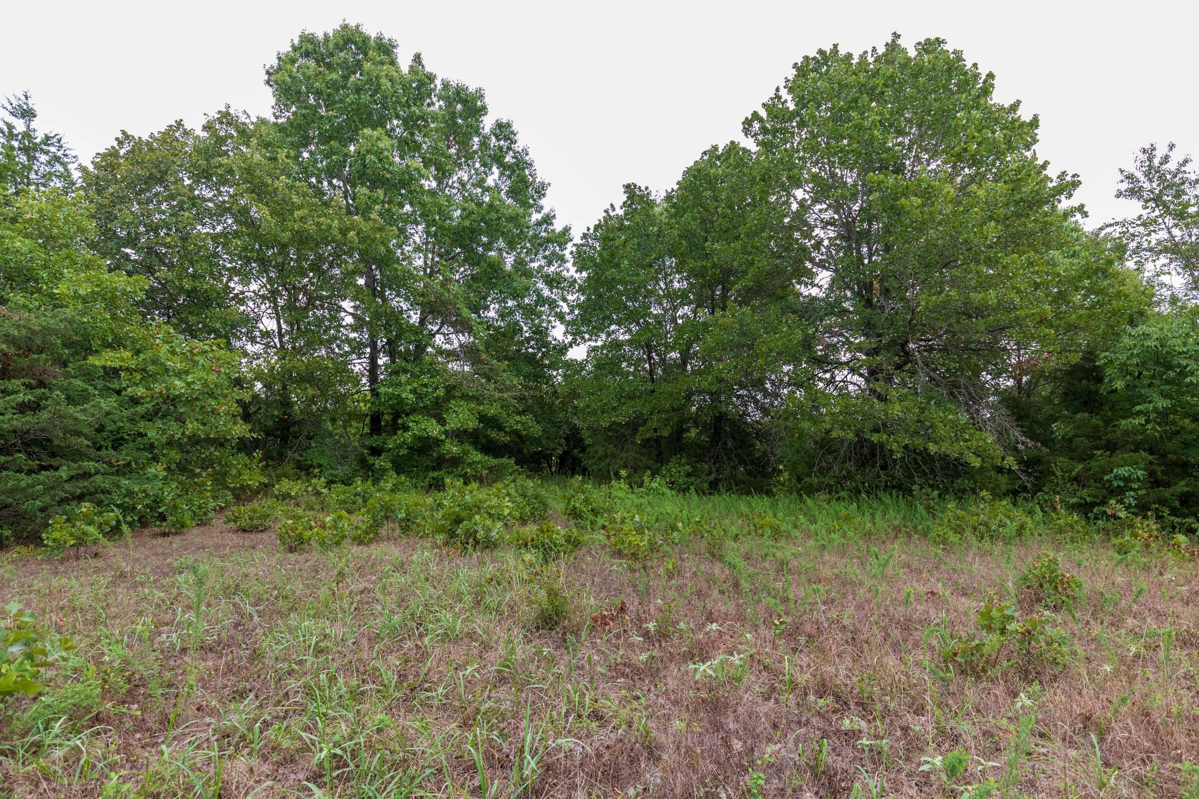 Heritage Bend Tract 8 photo 6