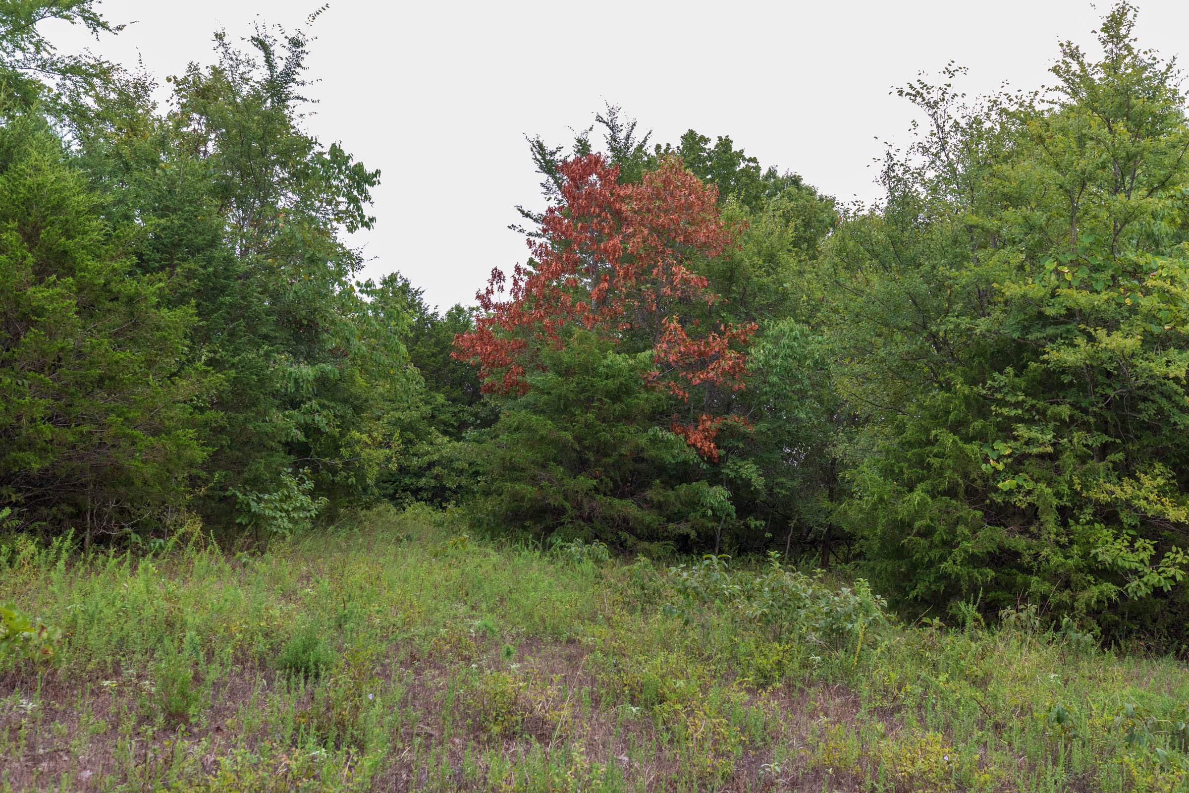 Heritage Bend Tract 8 photo 7