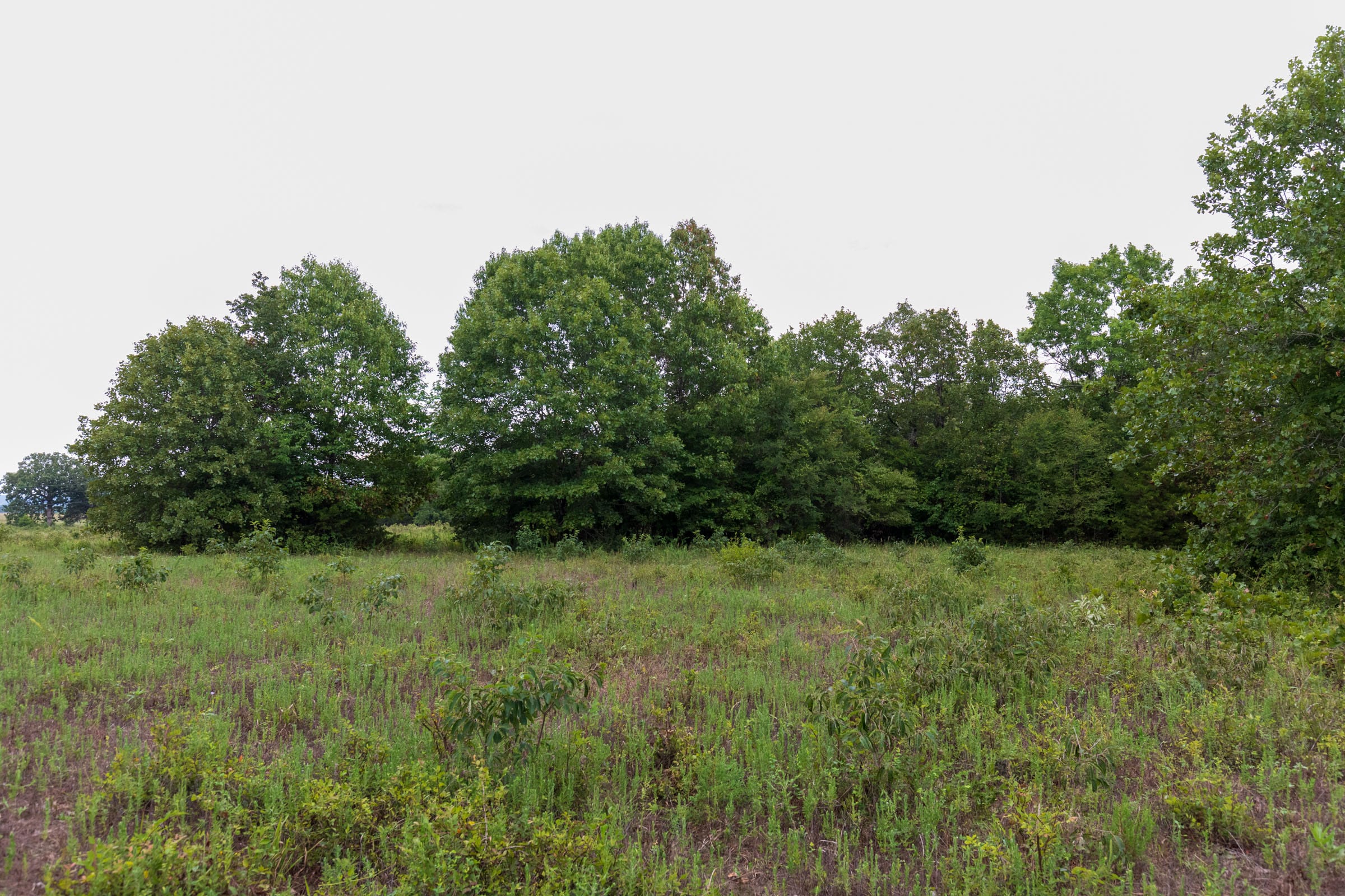 Heritage Bend Tract 8 photo 8