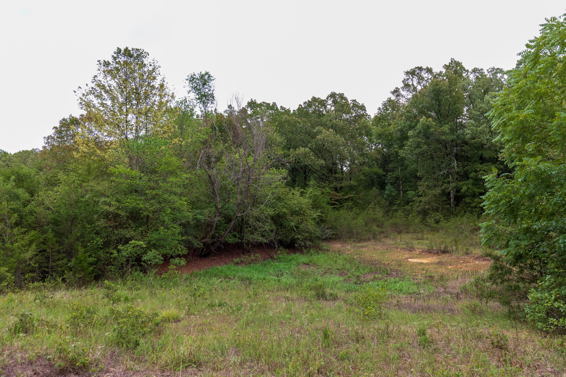 Heritage Bend Tract 8 photo 9