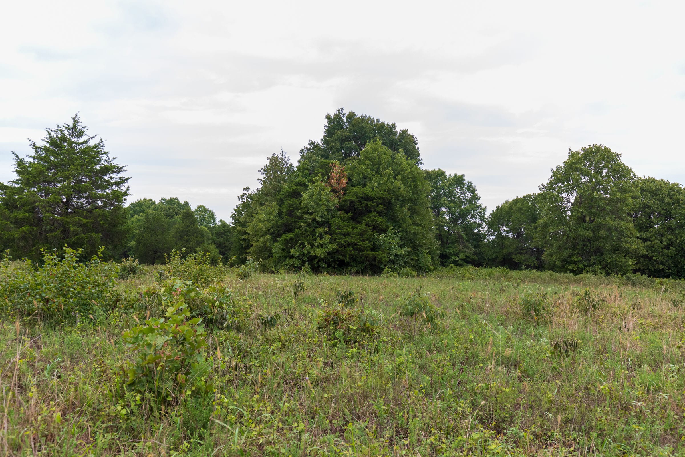 Heritage Bend Tract 8 photo 12