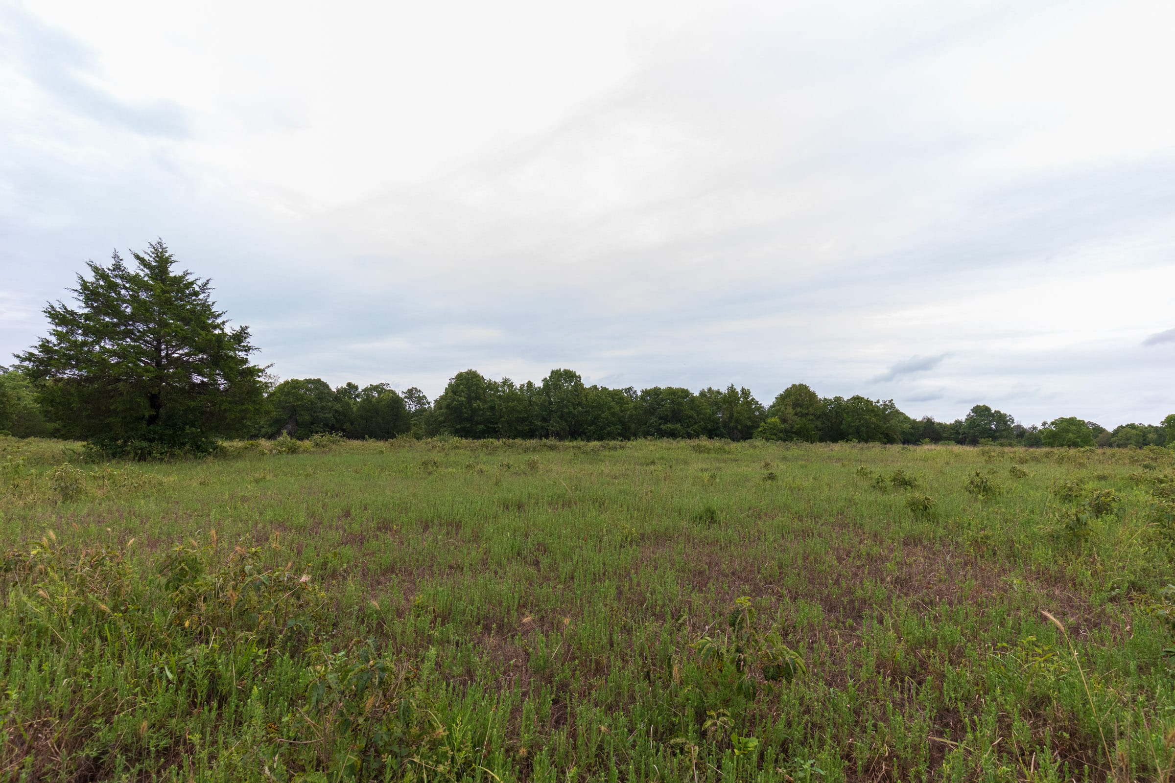 Heritage Bend Tract 8 photo 13