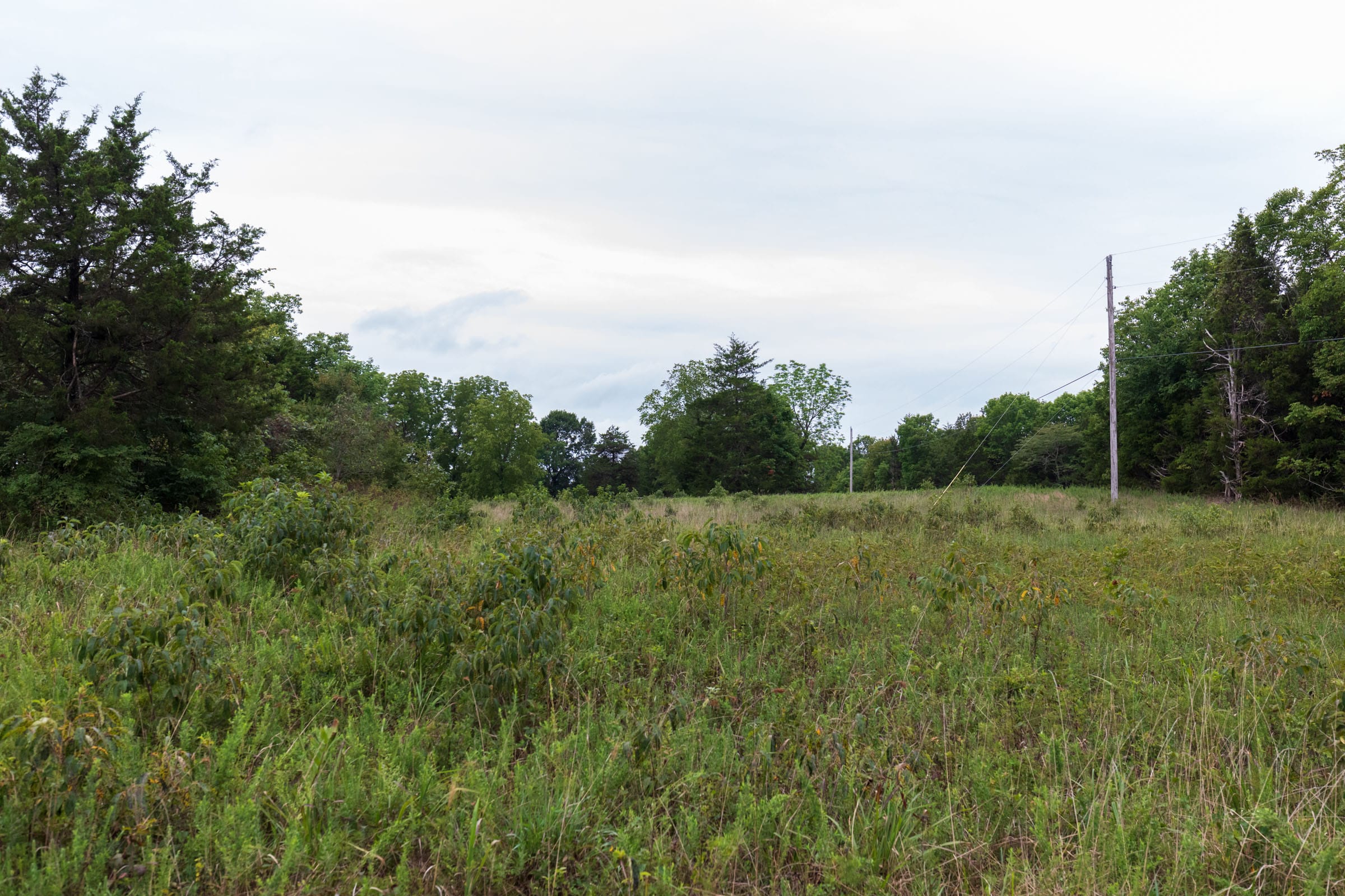 Heritage Bend Tract 8 photo 14