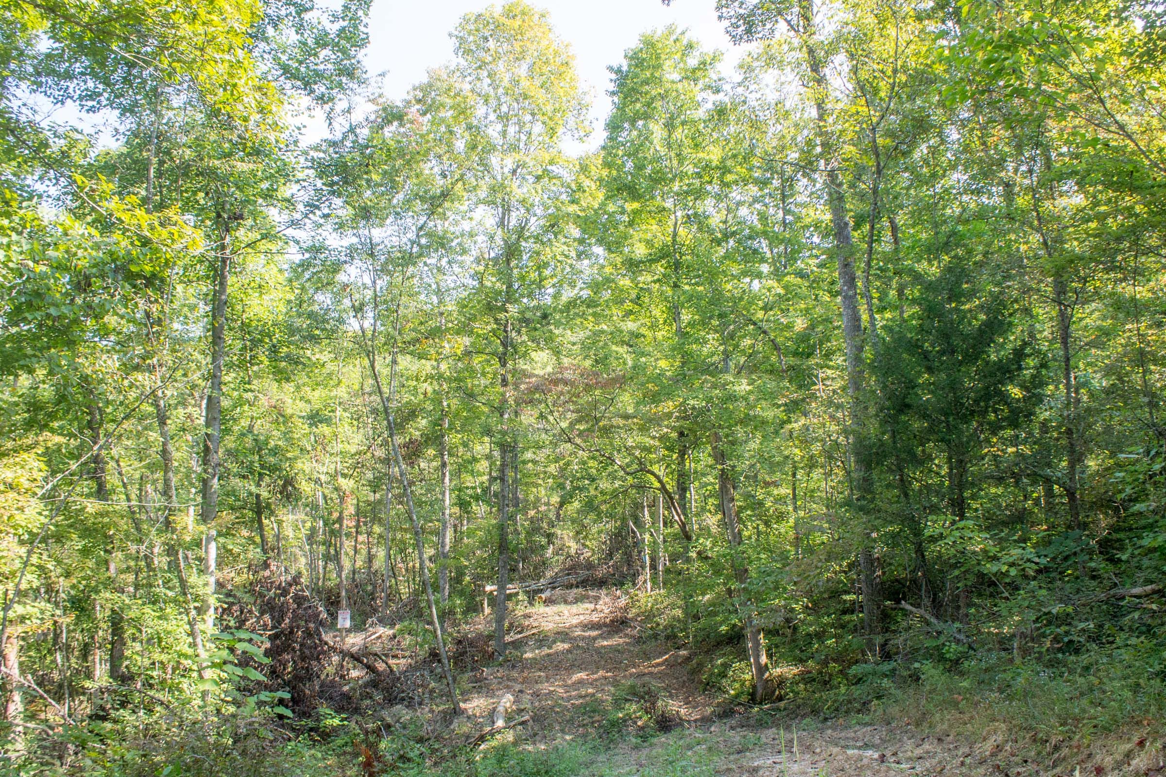 Buck Run Ridge Tract 19 photo 8