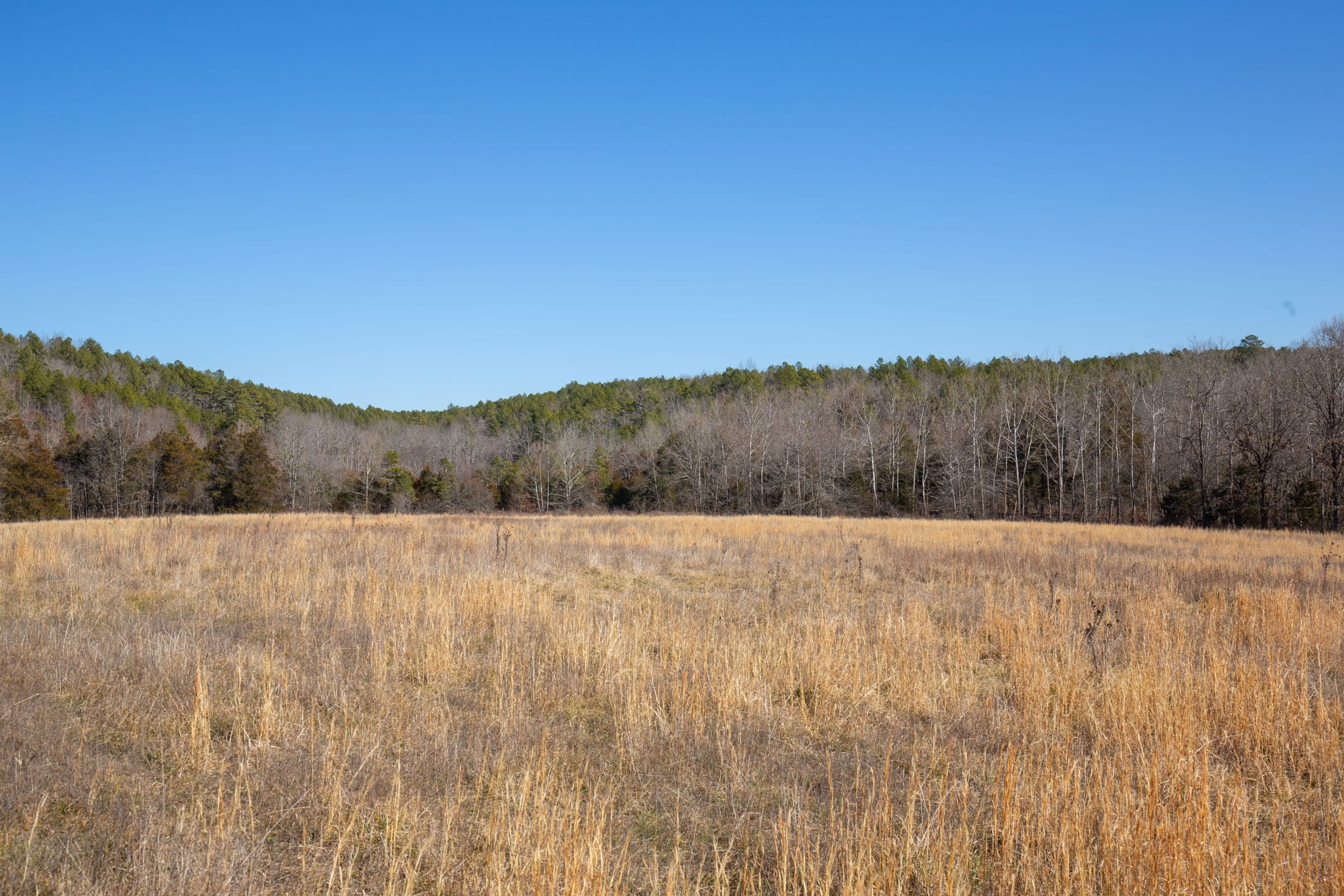 O’Connor Crossing Tract 21 photo 5