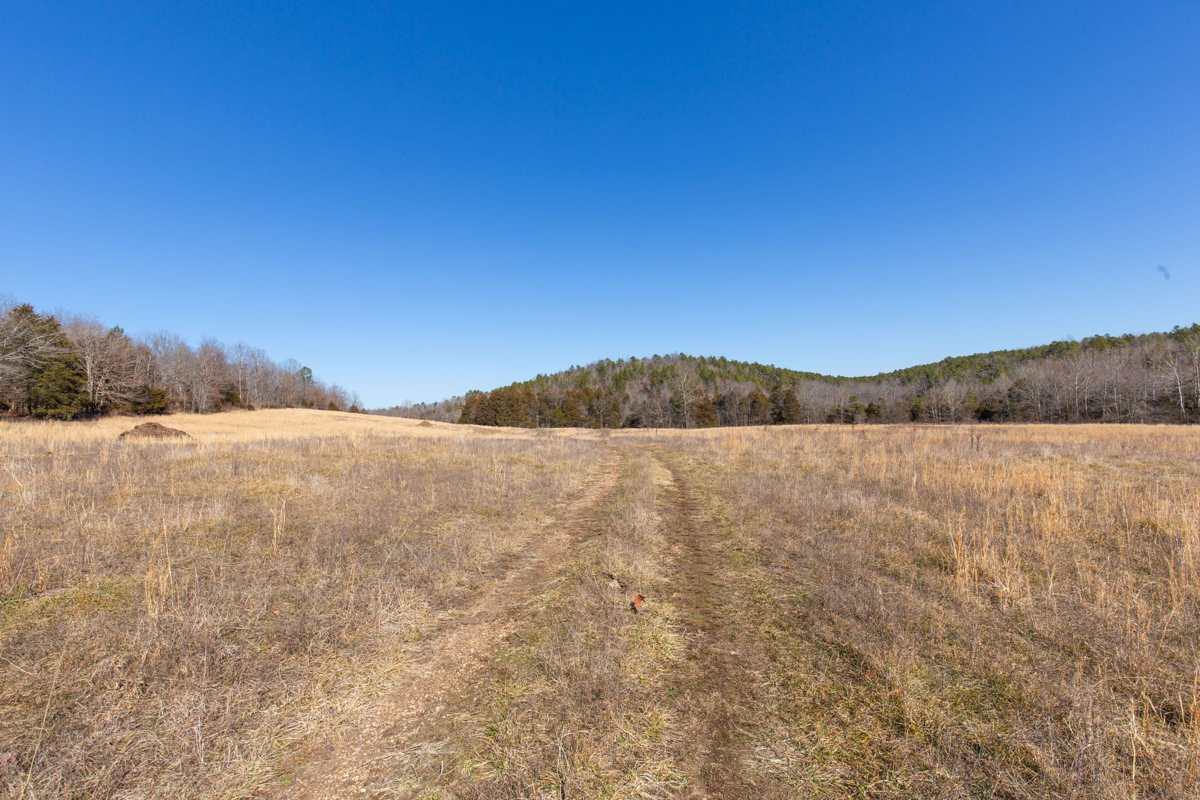 O’Connor Crossing Tract 21 photo 9
