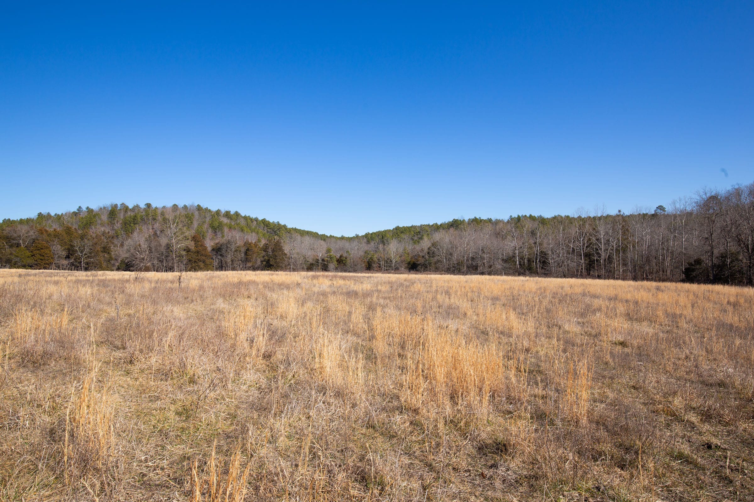 O’Connor Crossing Tract 21 photo 7