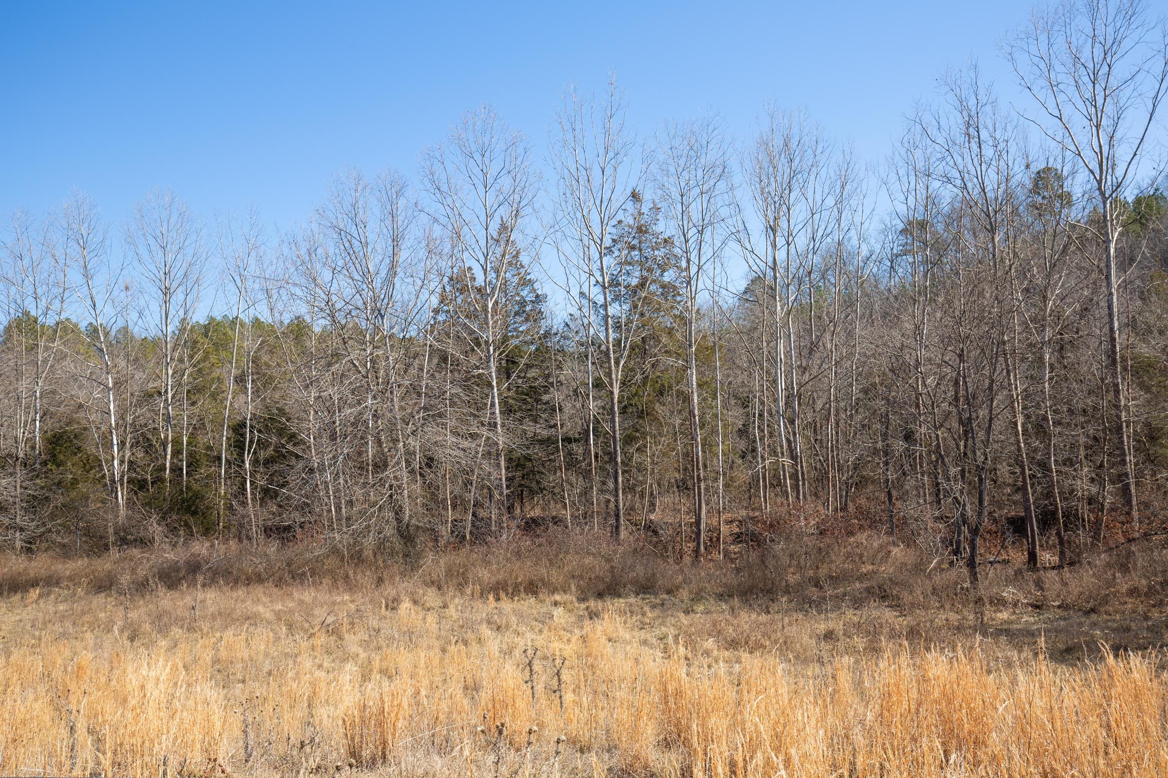 O’Connor Crossing Tract 21 photo 6