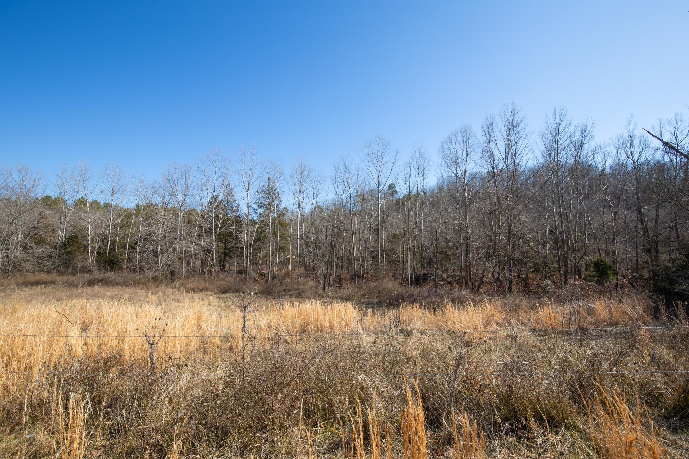 O’Connor Crossing Tract 21 photo 8
