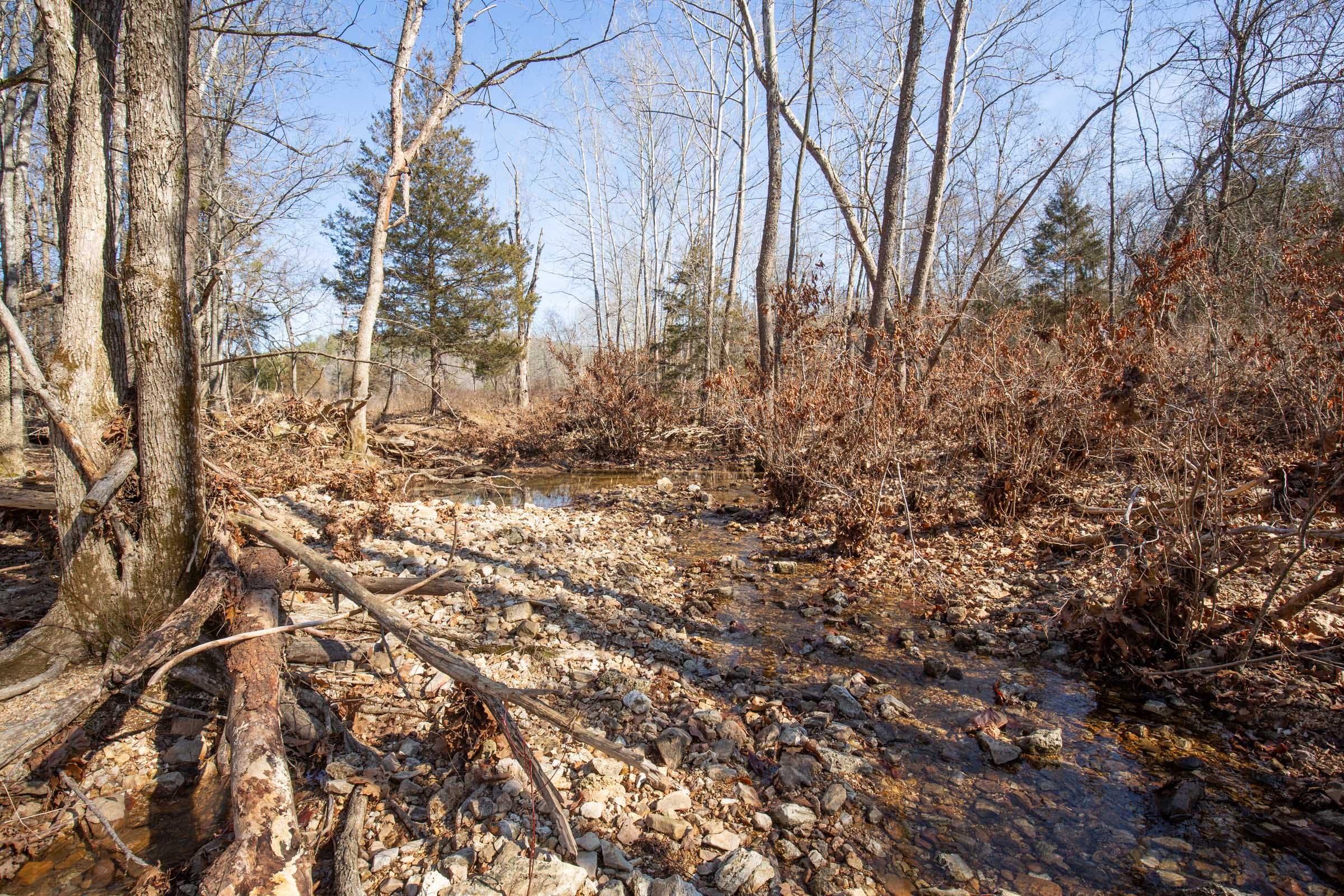 O’Connor Crossing Tract 21 photo 4