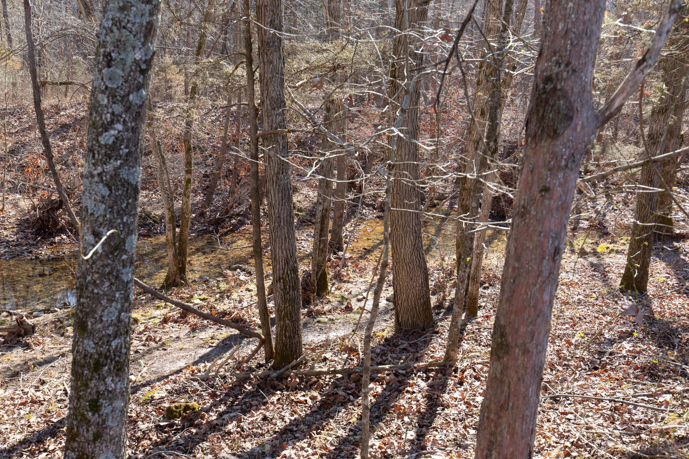 O’Connor Crossing Tract 21 photo 11