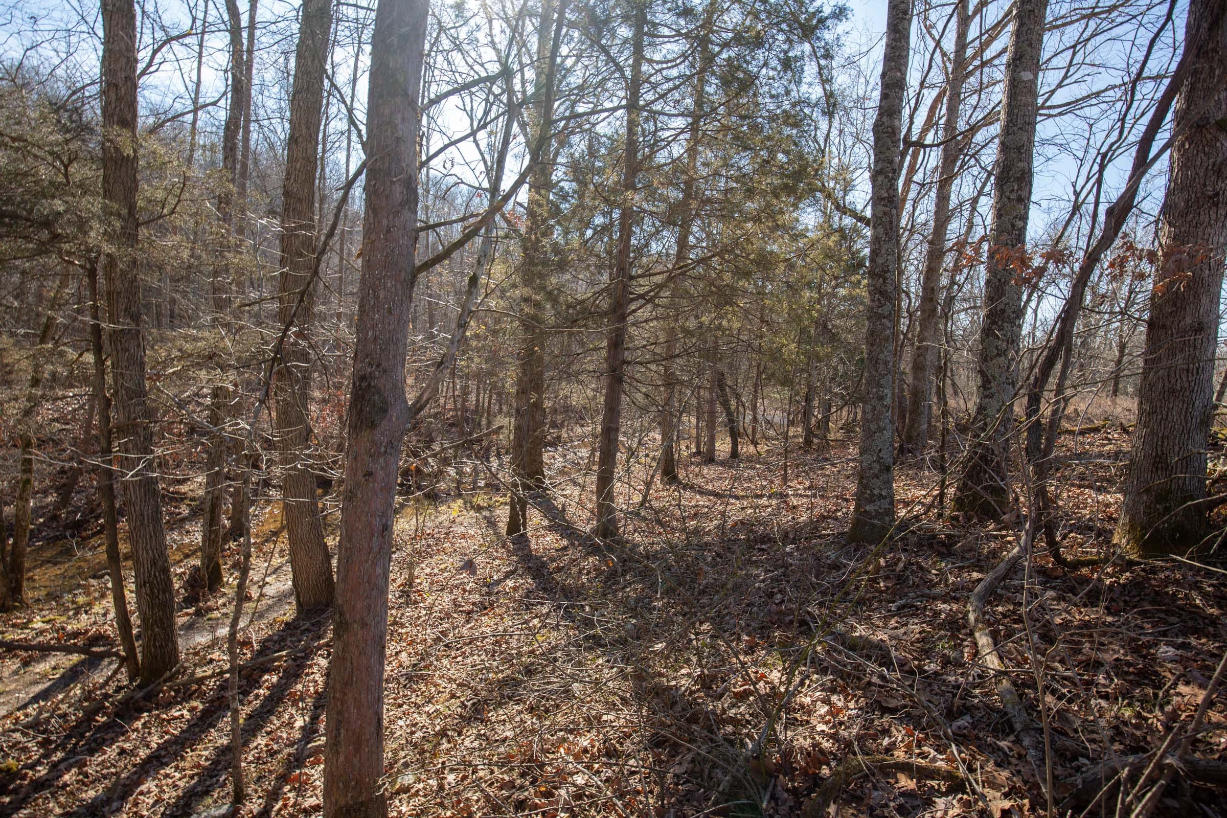 O’Connor Crossing Tract 21 photo 13