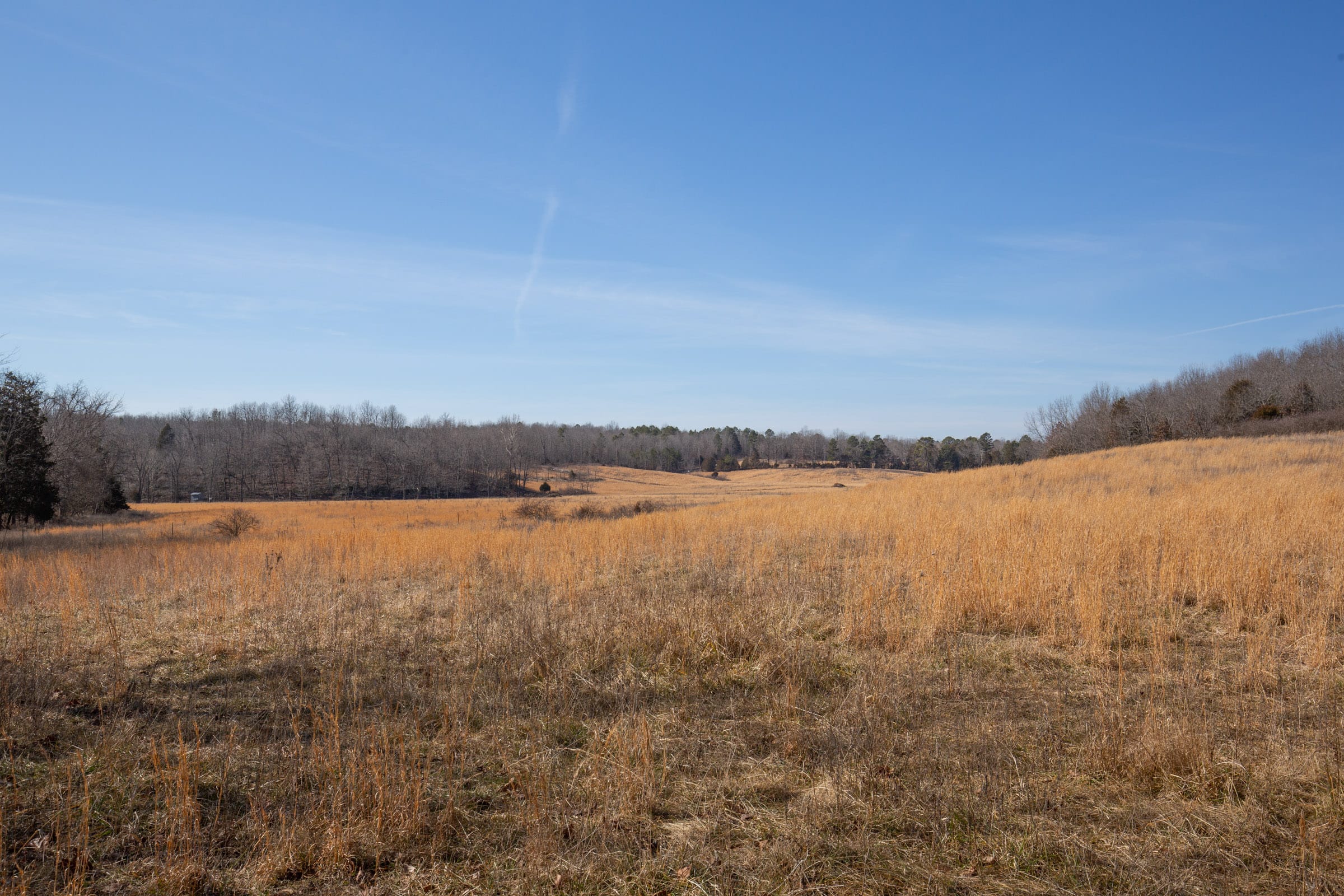 O’Connor Crossing Tract 21 photo 12