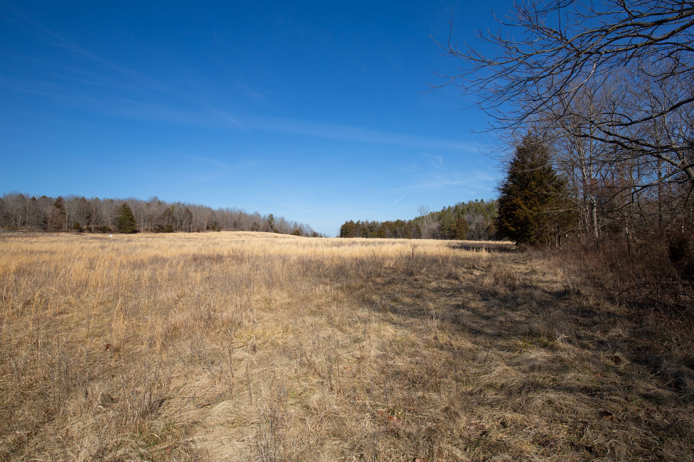 O’Connor Crossing Tract 21 photo 14