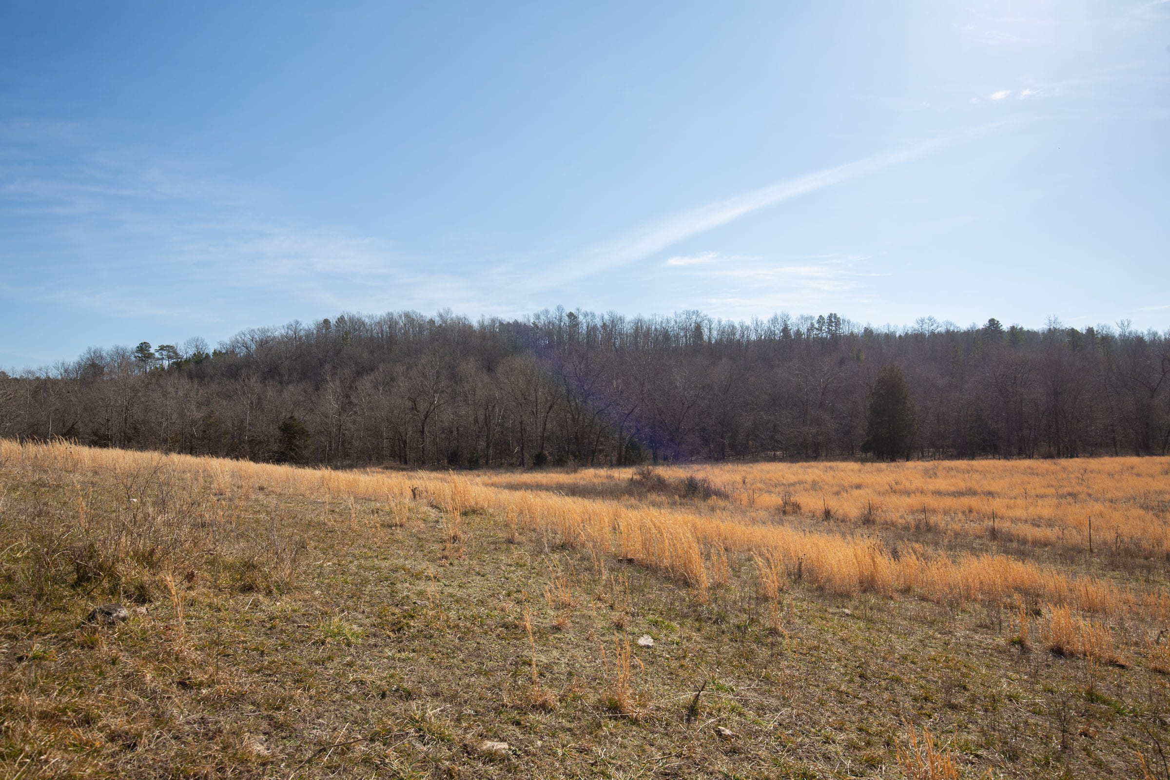 O’Connor Crossing Tract 21 photo 15