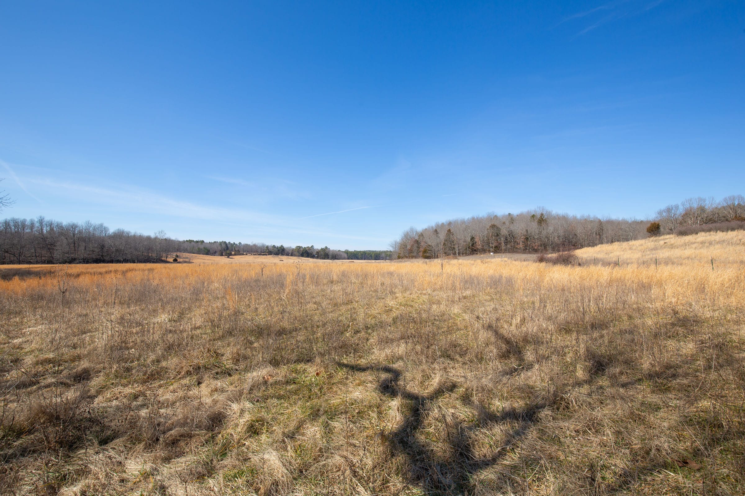 O’Connor Crossing Tract 21 photo 16