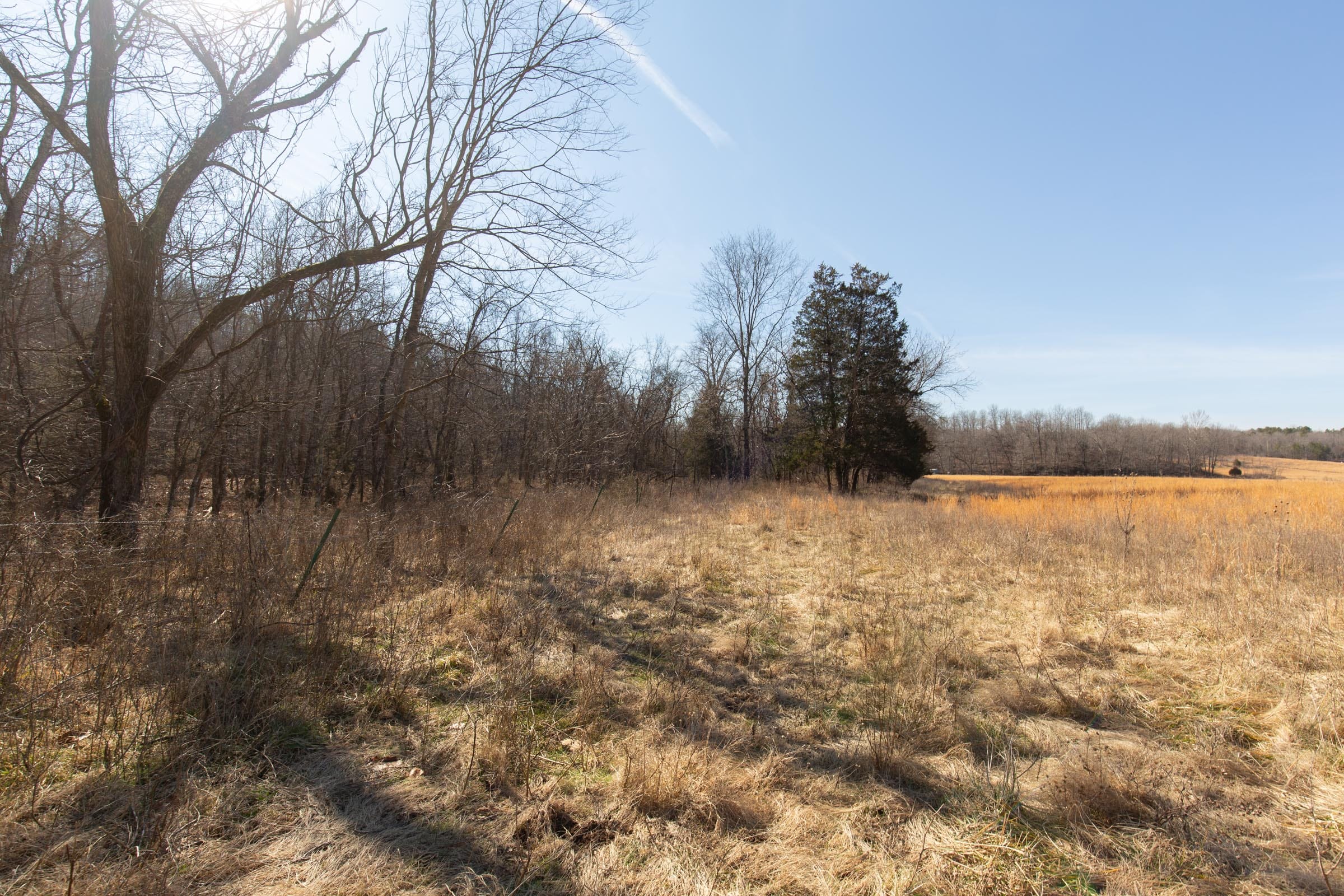 O’Connor Crossing Tract 21 photo 17
