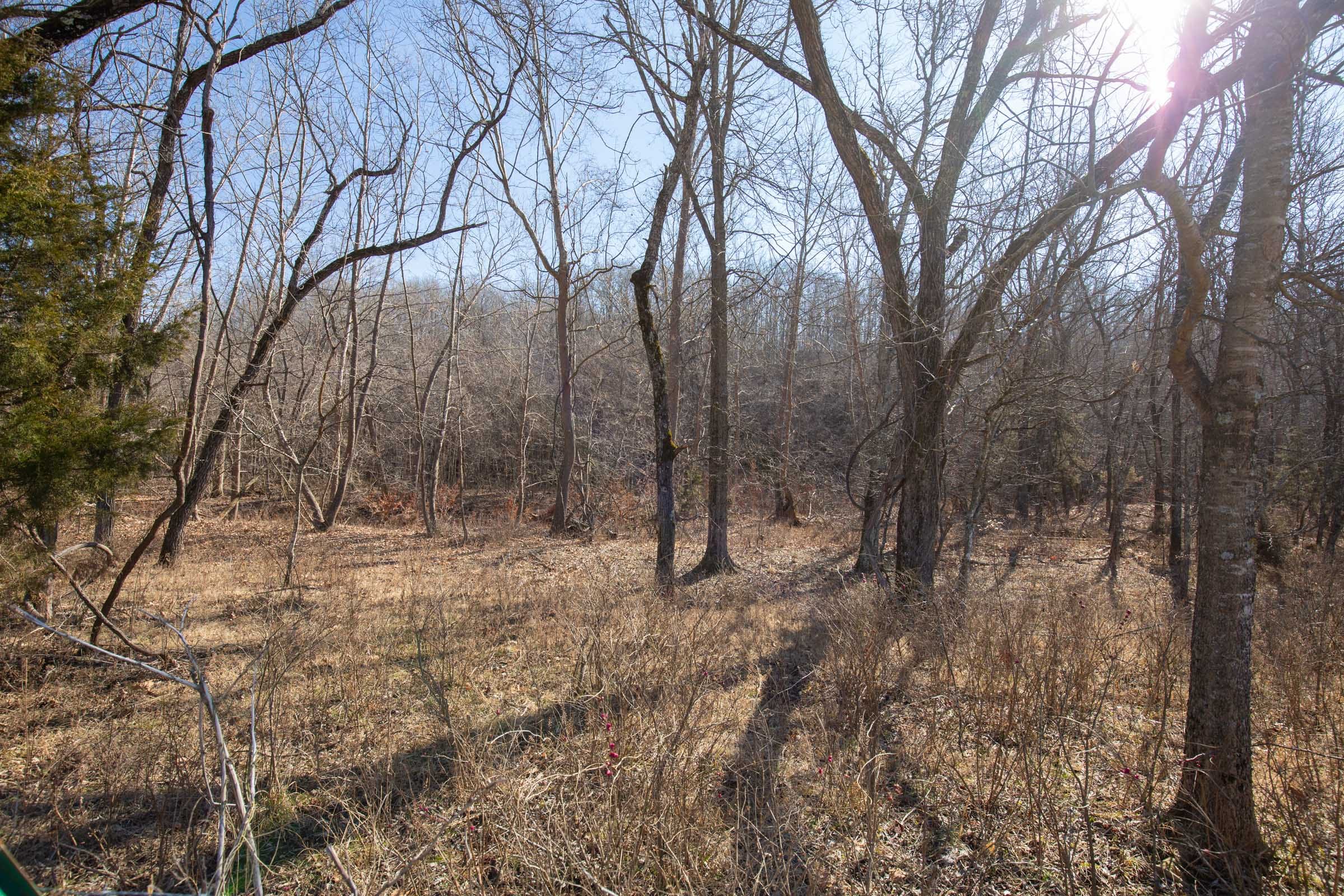 O’Connor Crossing Tract 21 photo 18