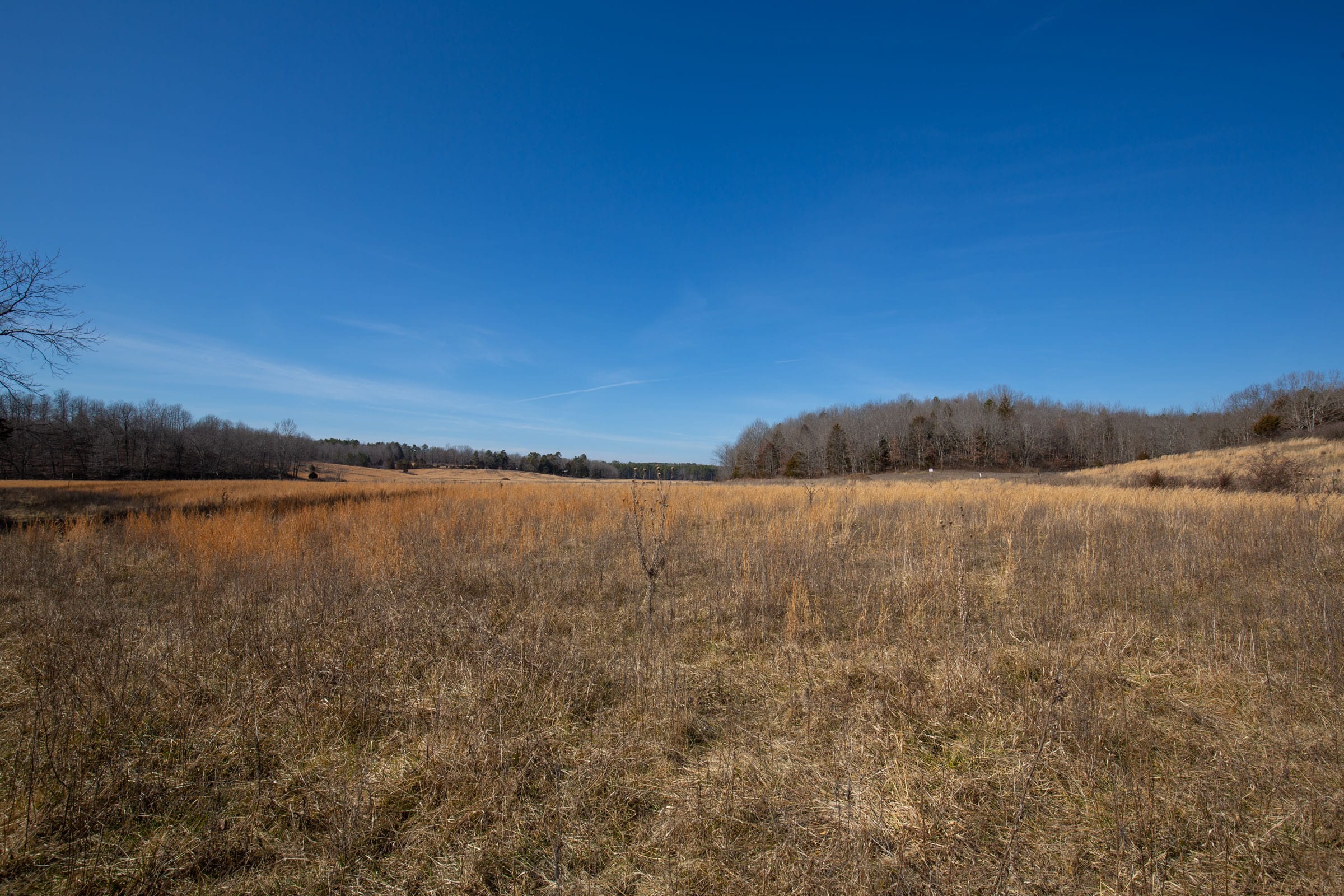 O’Connor Crossing Tract 21 photo 19