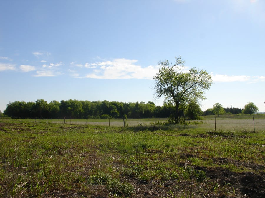 Red River Ranch Tract 1 photo 4