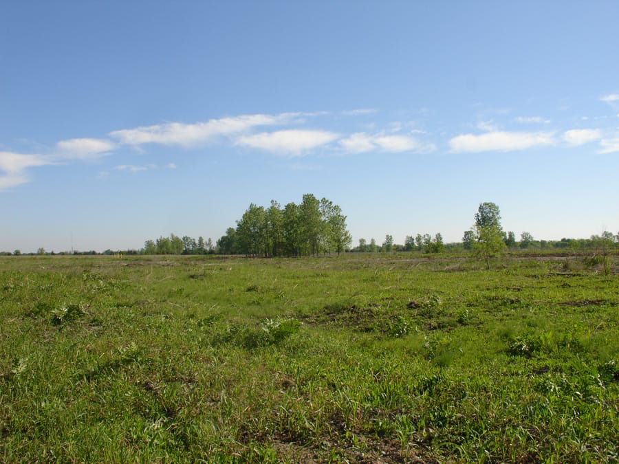 Red River Ranch Tract 1 photo 5