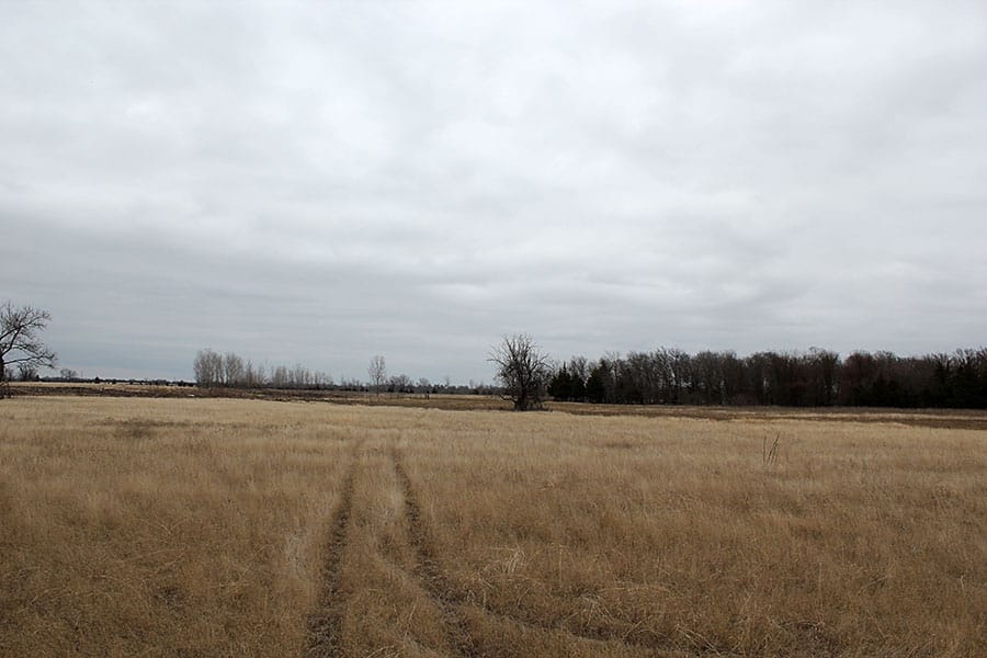 Red River Ranch Tract 1 photo 10